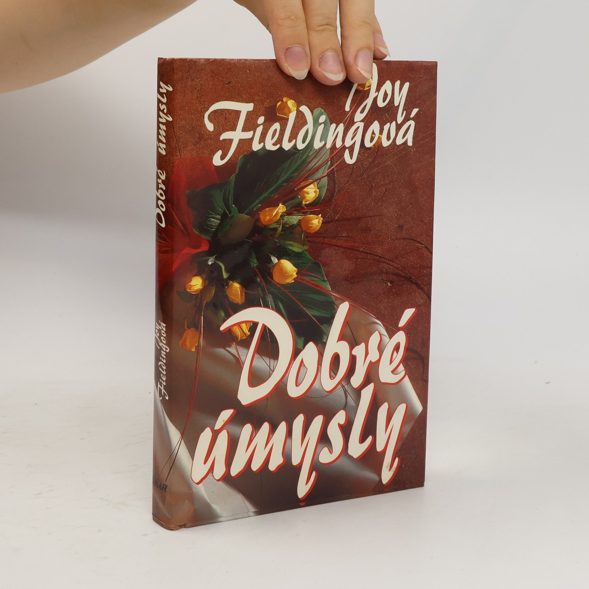 Joy Fielding Dobré úmysly