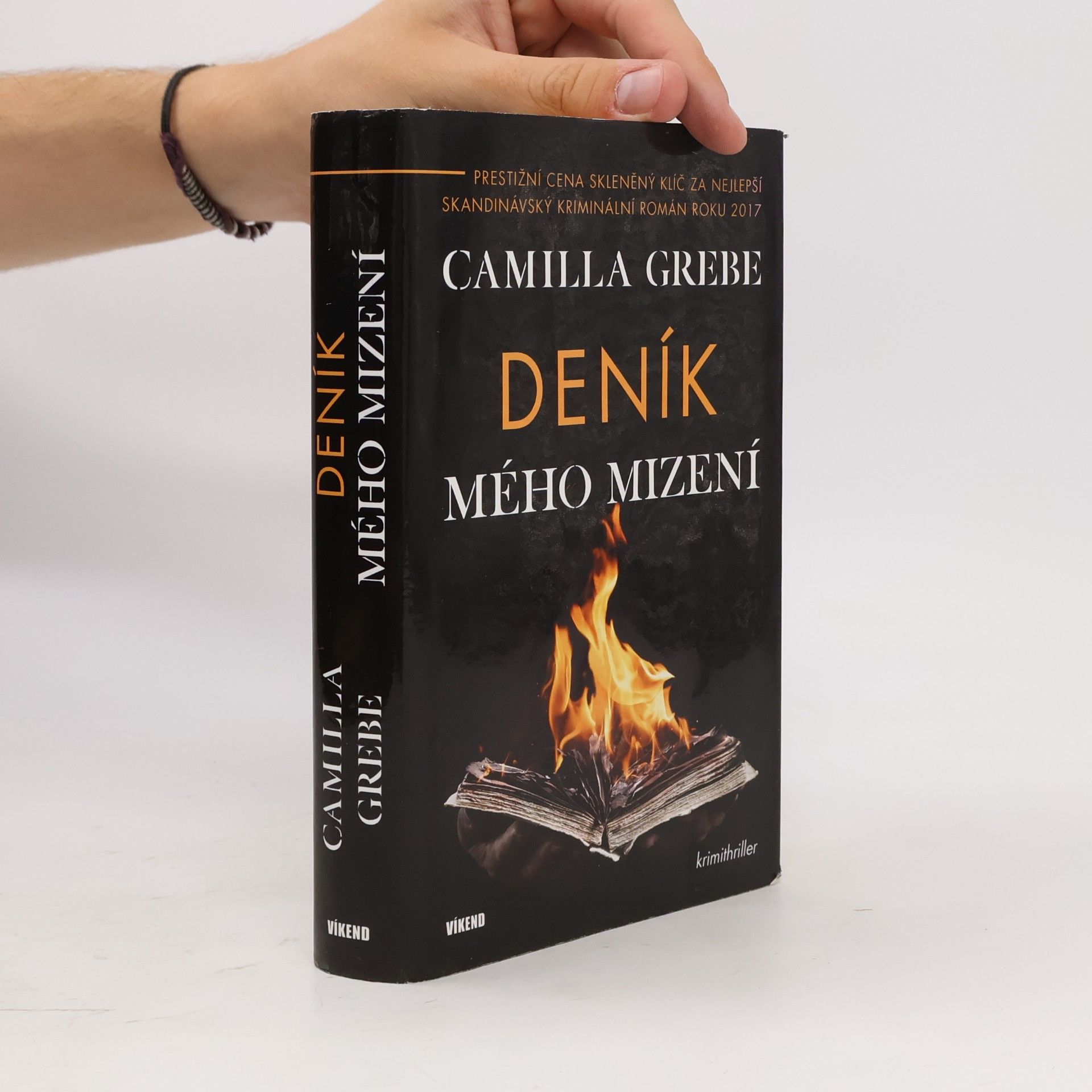 Camilla Grebe Deník mého mizení