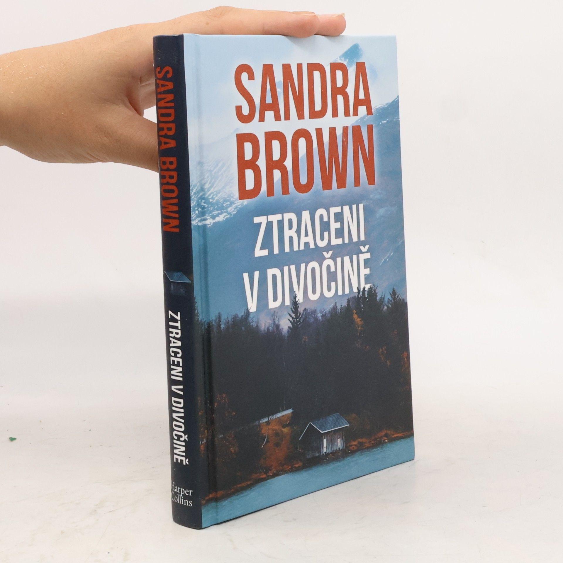 Sandra Brown Ztraceni v divočině