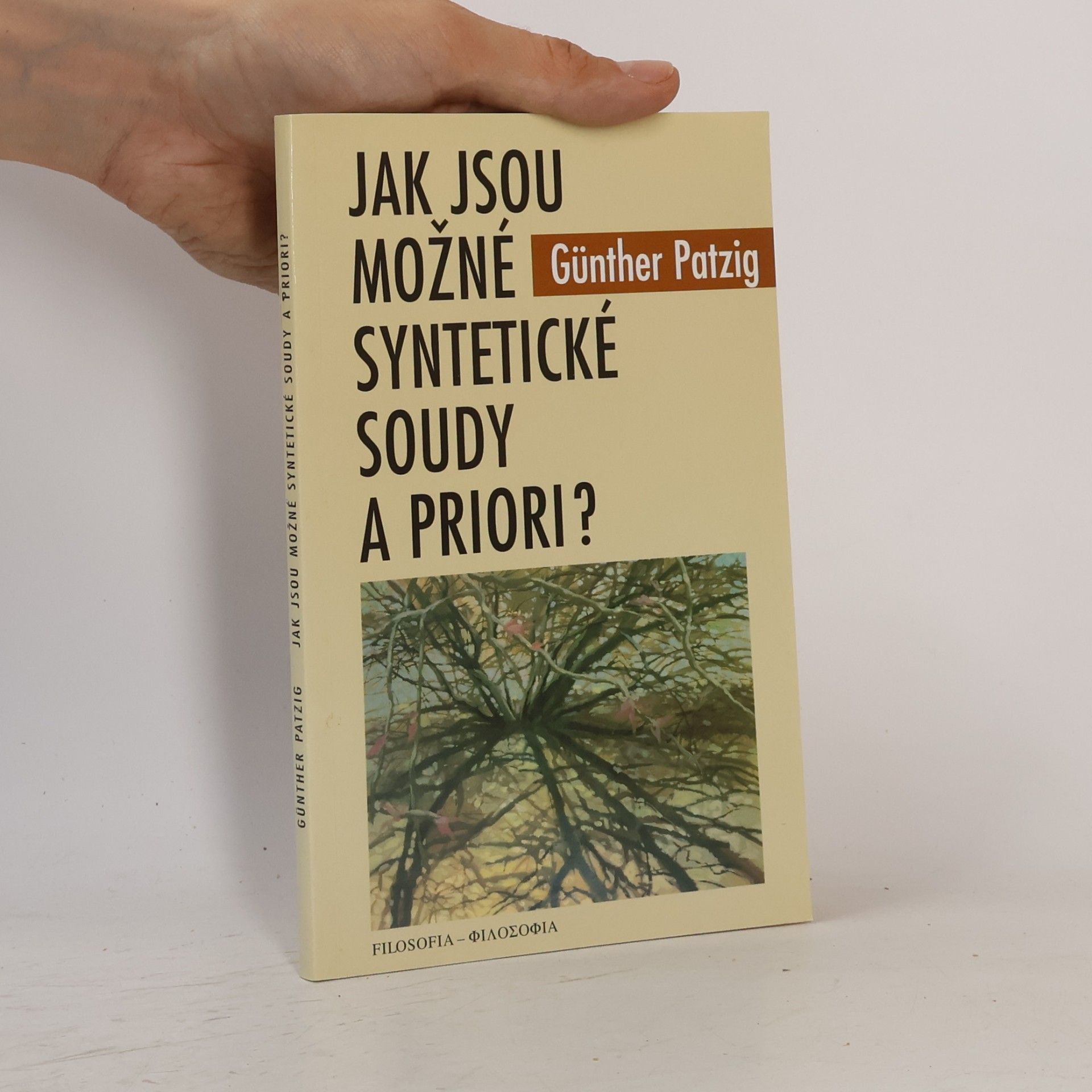 Günther Patzig Jak jsou možné syntetické soudy a priori?