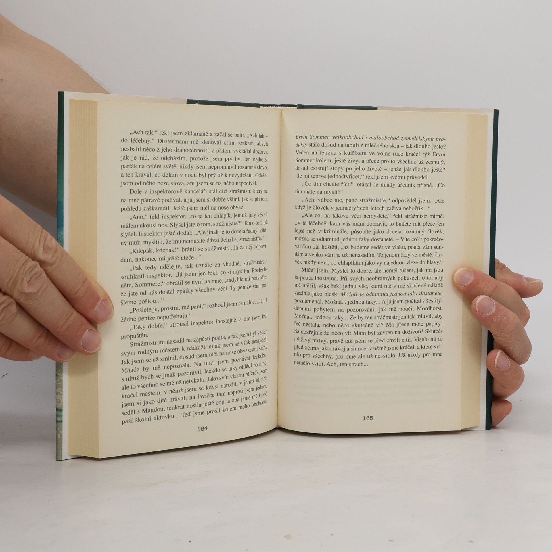 Hans Fallada Pijan