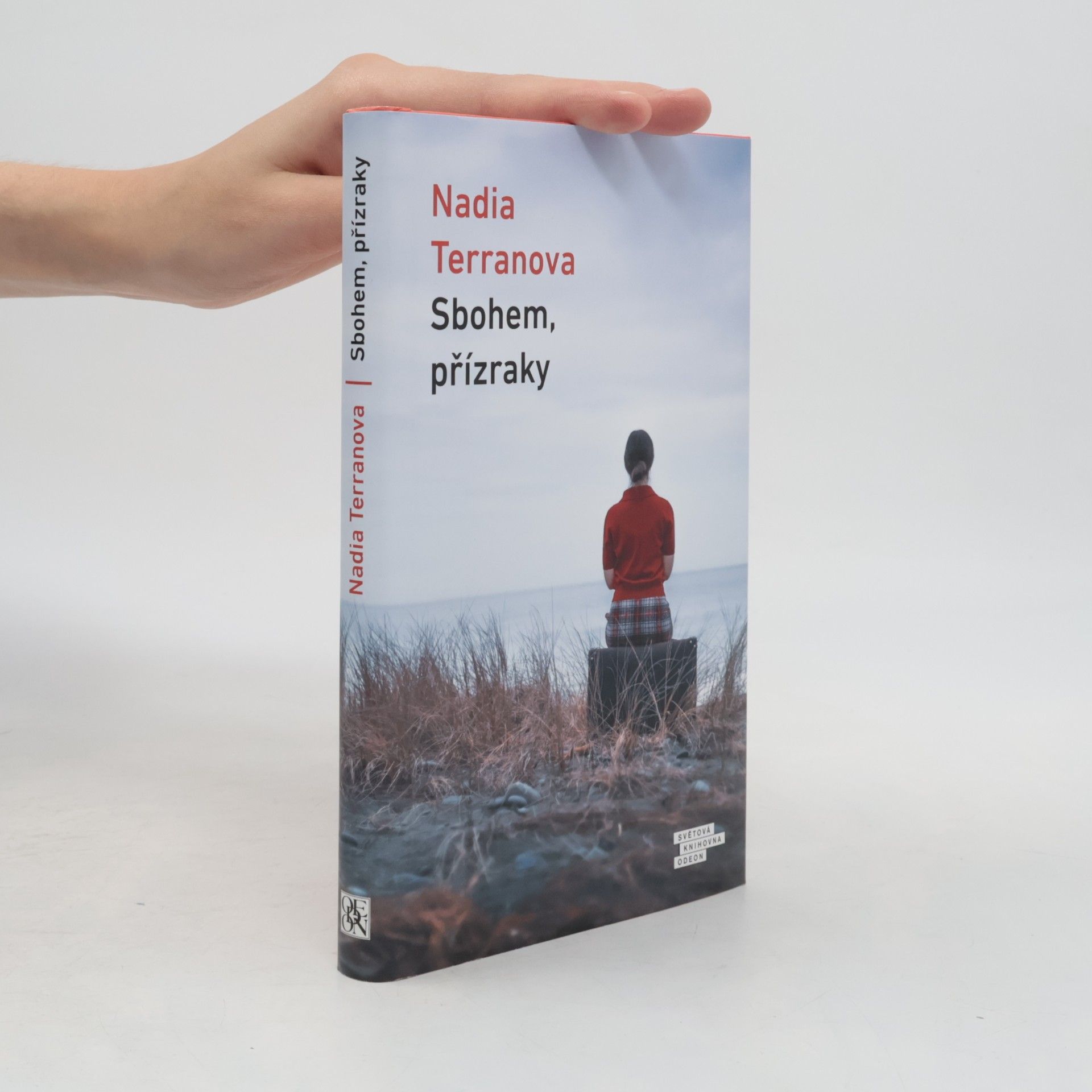 Nadia Terranova Sbohem, přízraky