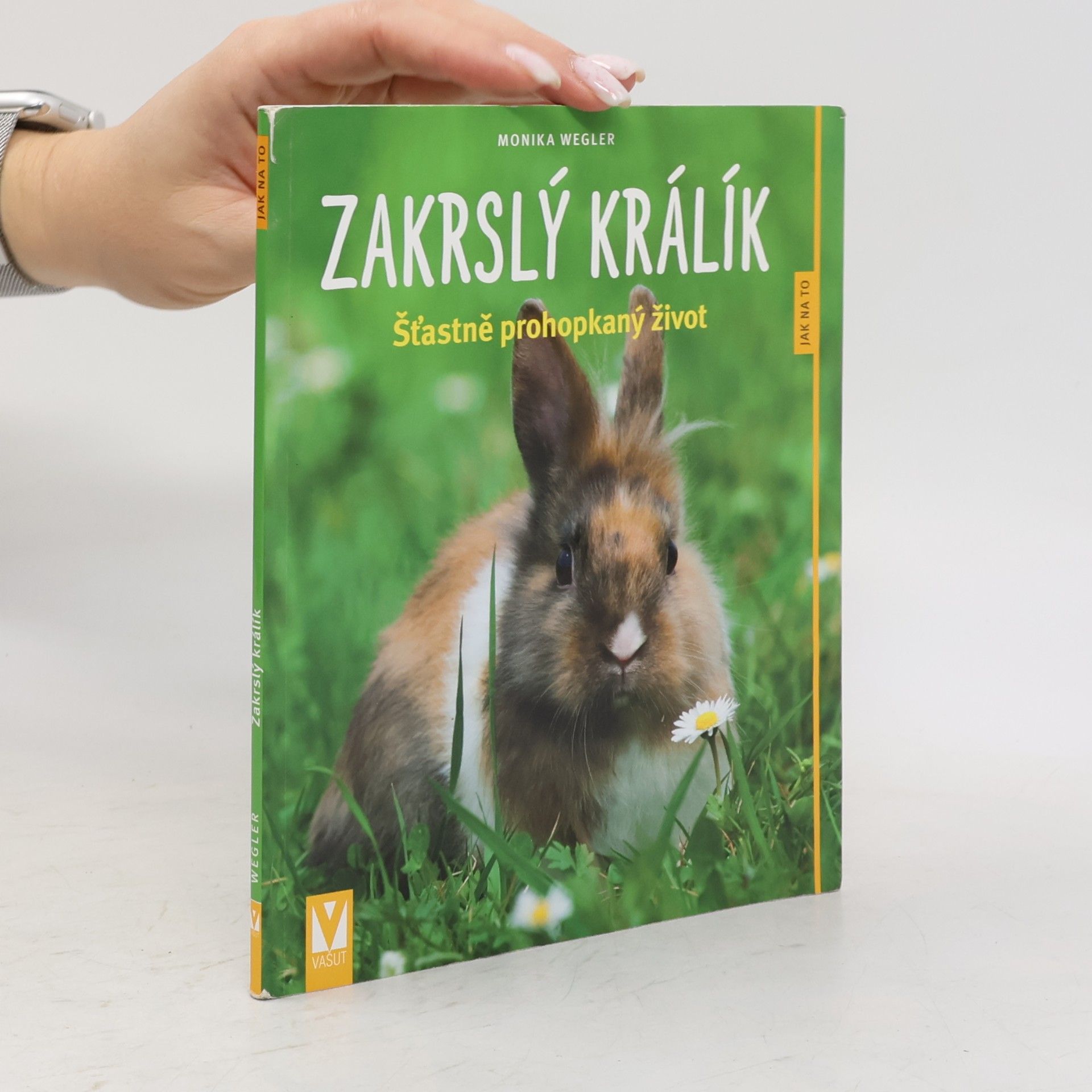 Monika Wegler Zakrslý králík