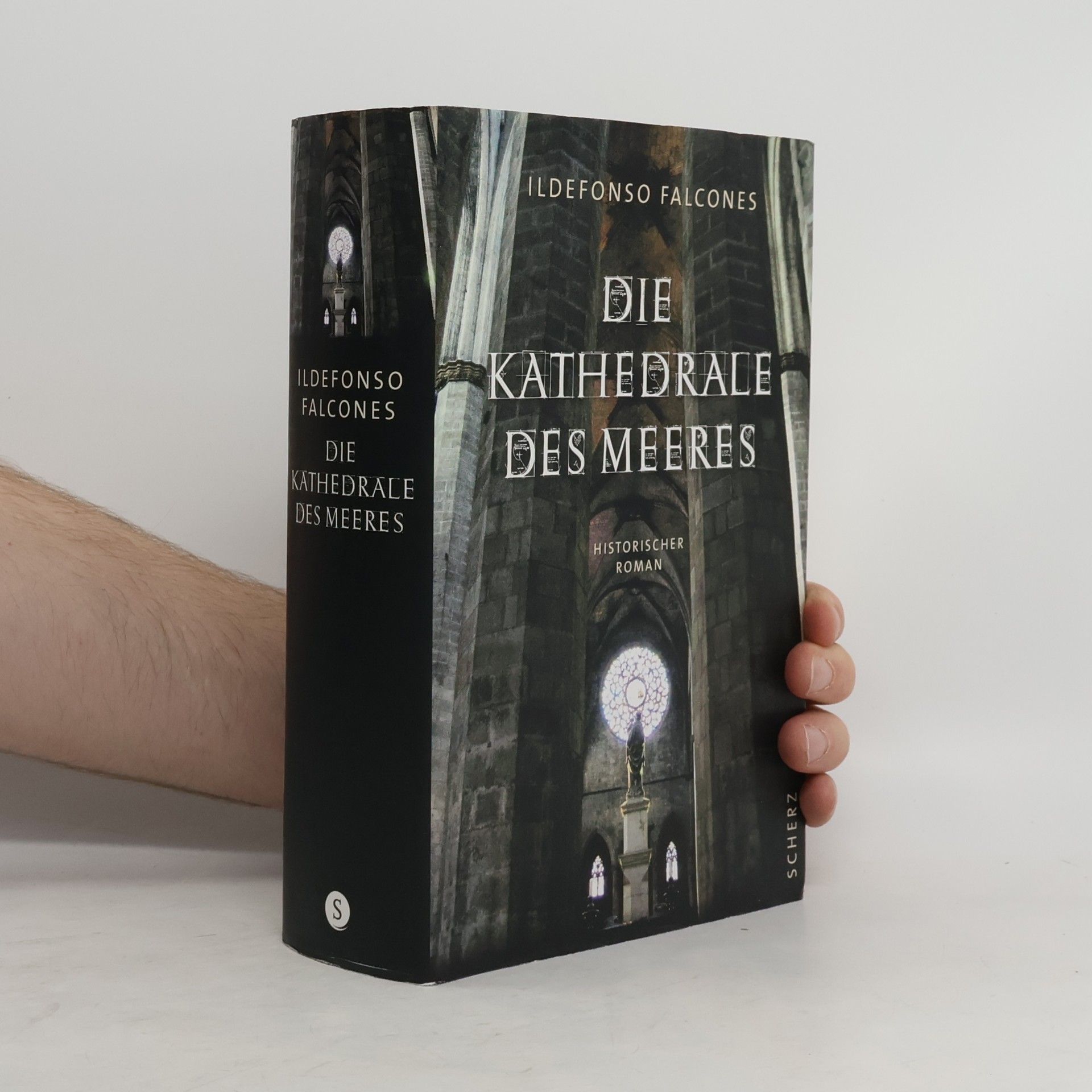 Ildefonso Falcones Die Kathedrale des Meeres