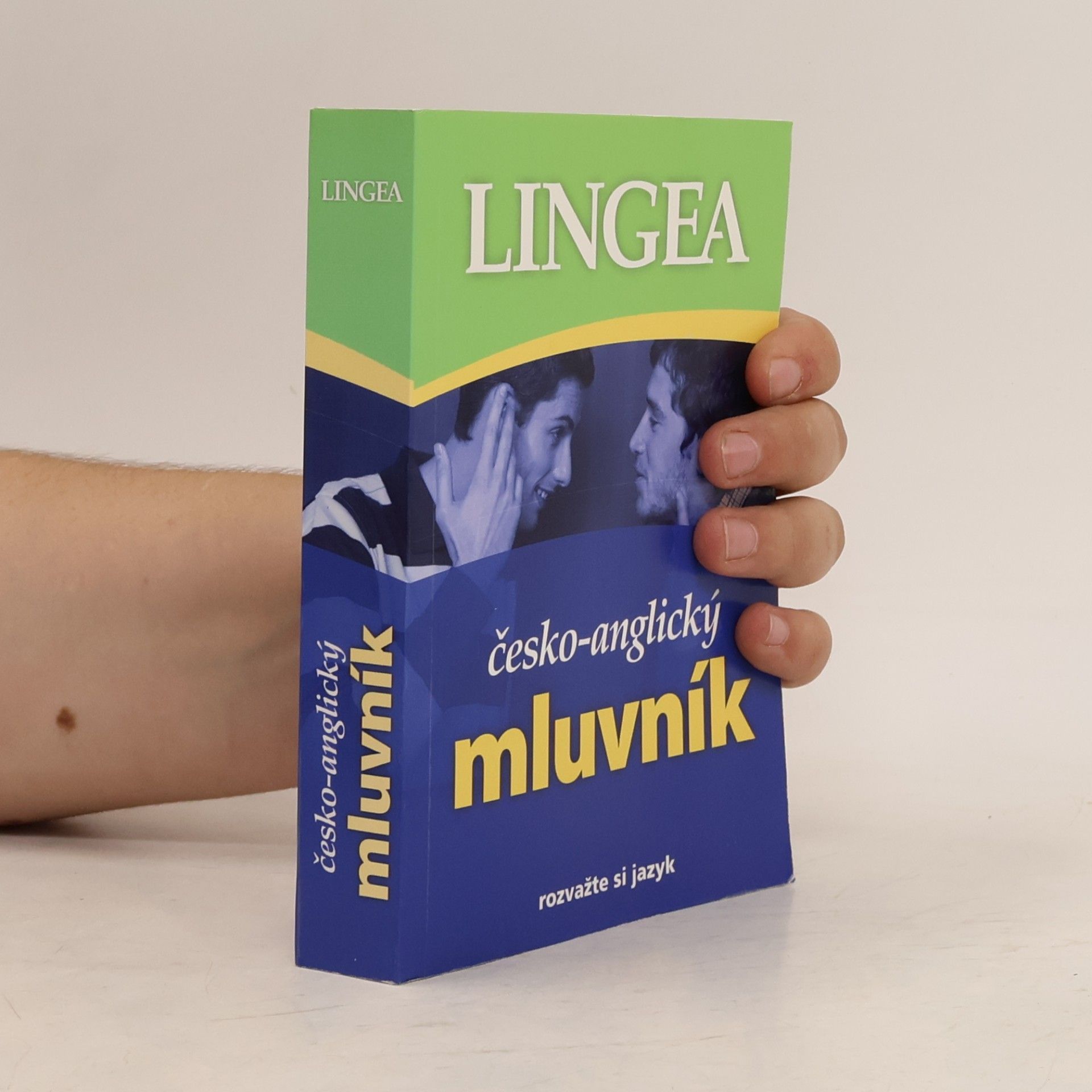 Autorenkollektiv Česko-anglický mluvník