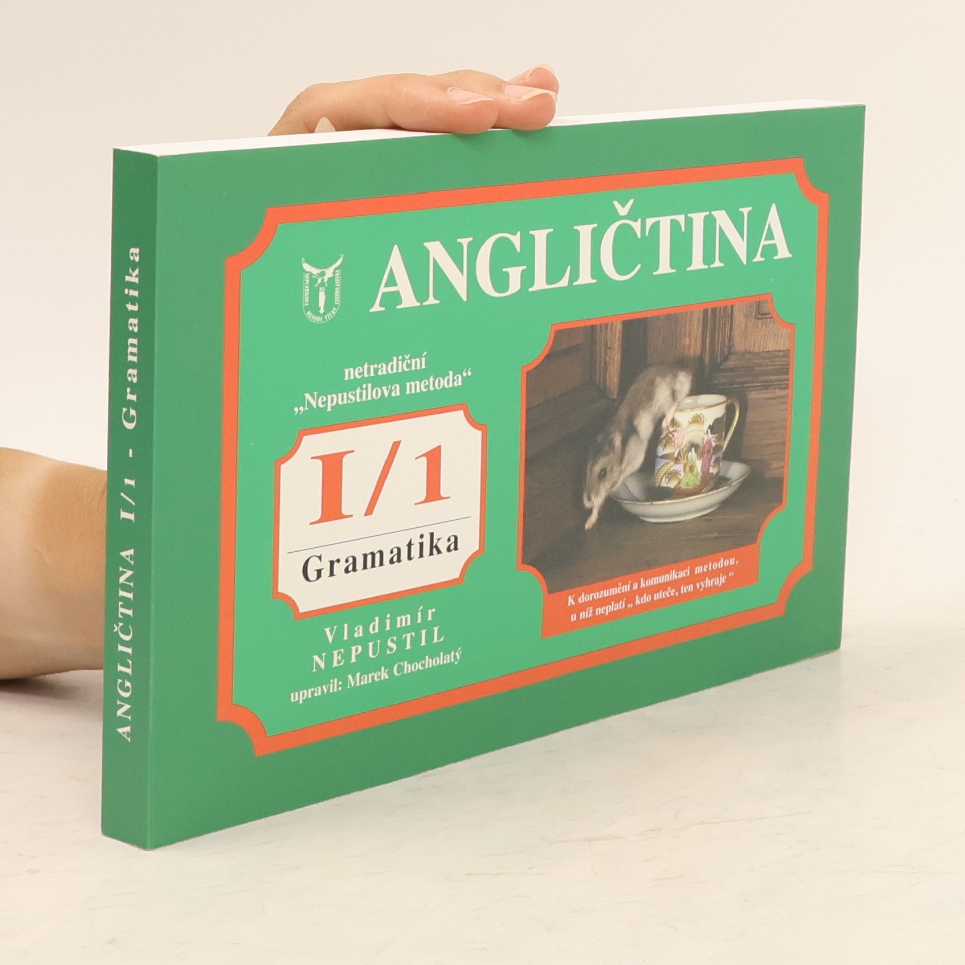 Vladimír Nepustil Angličtina I/1. Gramatika