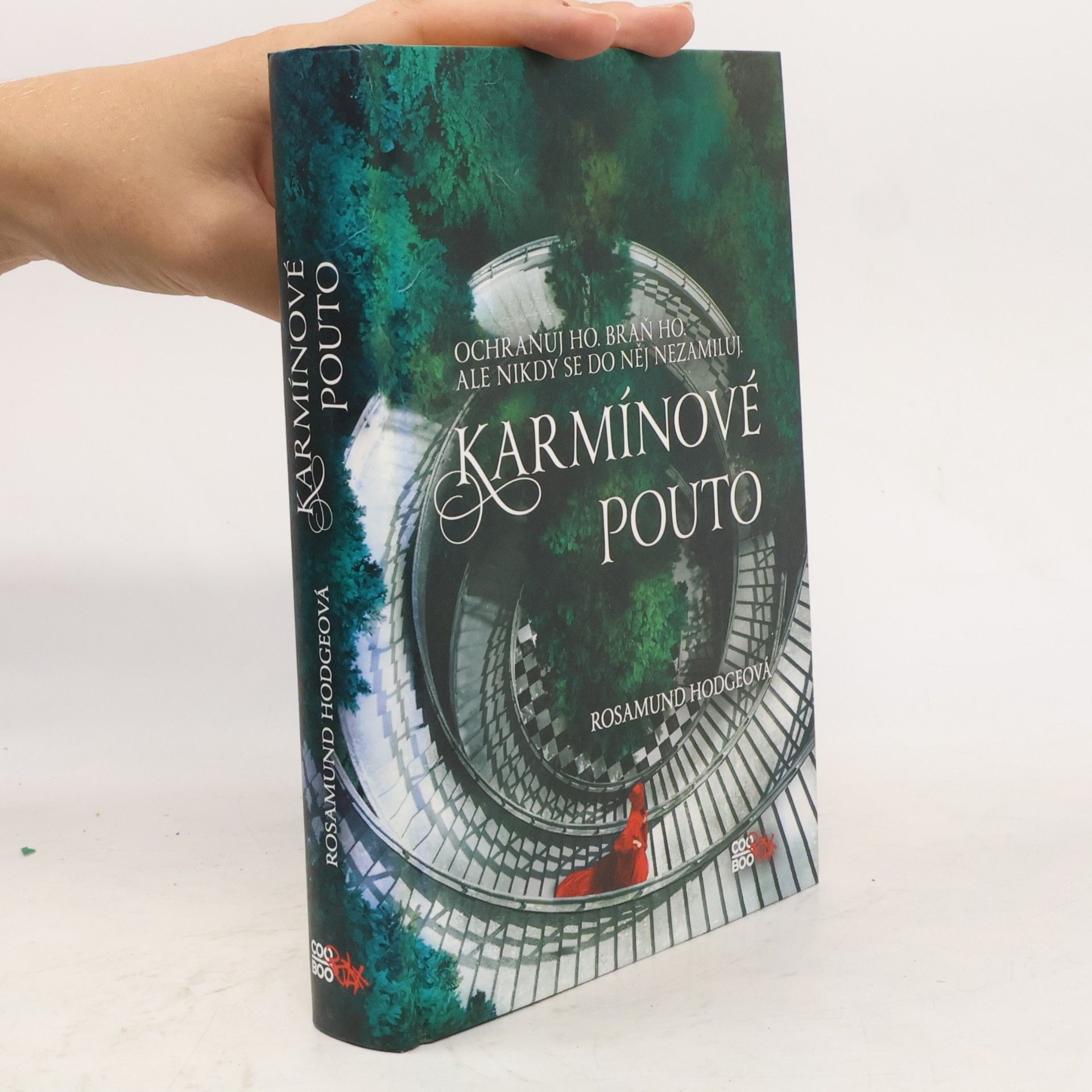 Rosamund Hodge Karmínové pouto