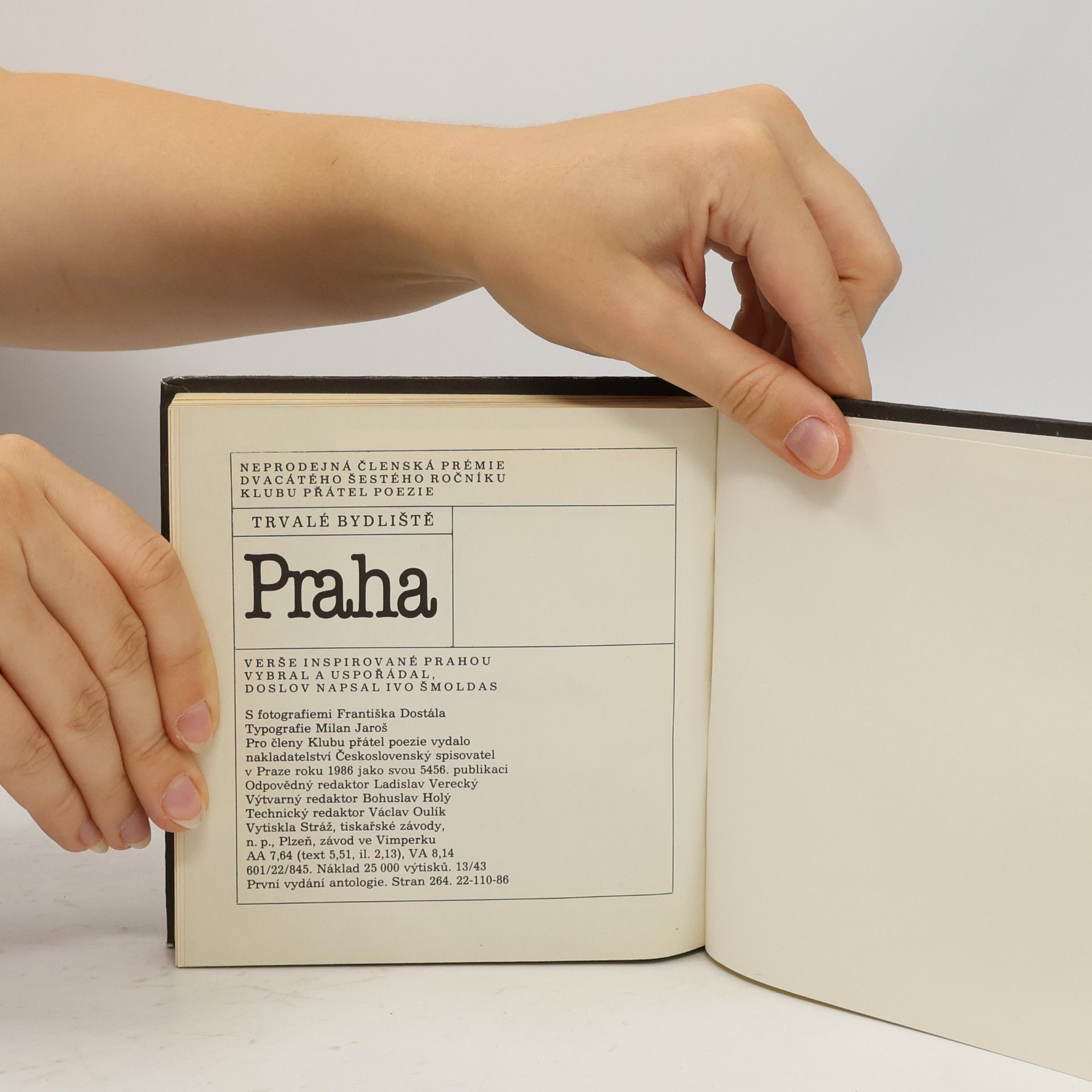Autorenkollektiv Staletá Praha XVI. Památková péče v uplynulém desetiletí