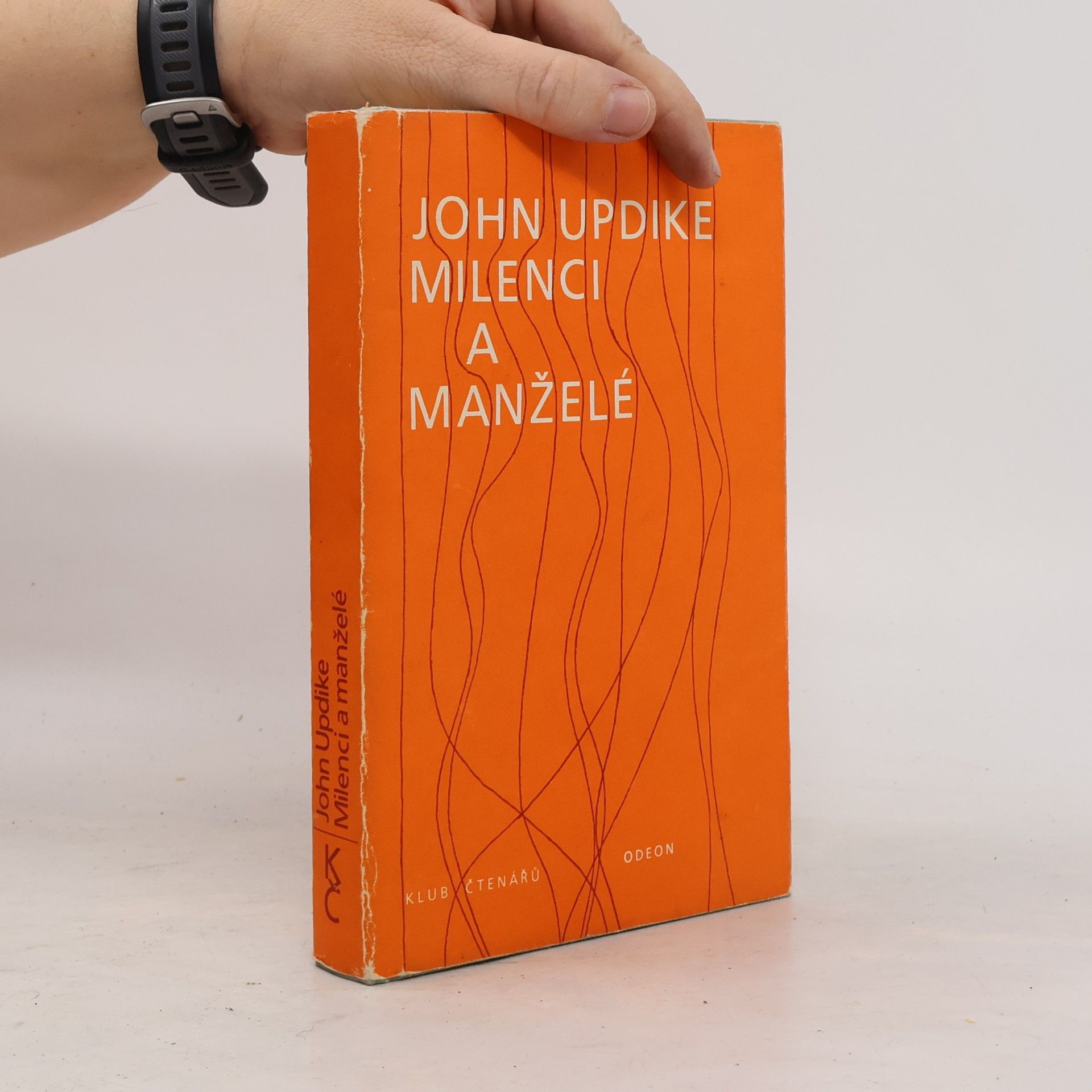 John Updike Milenci a manželé