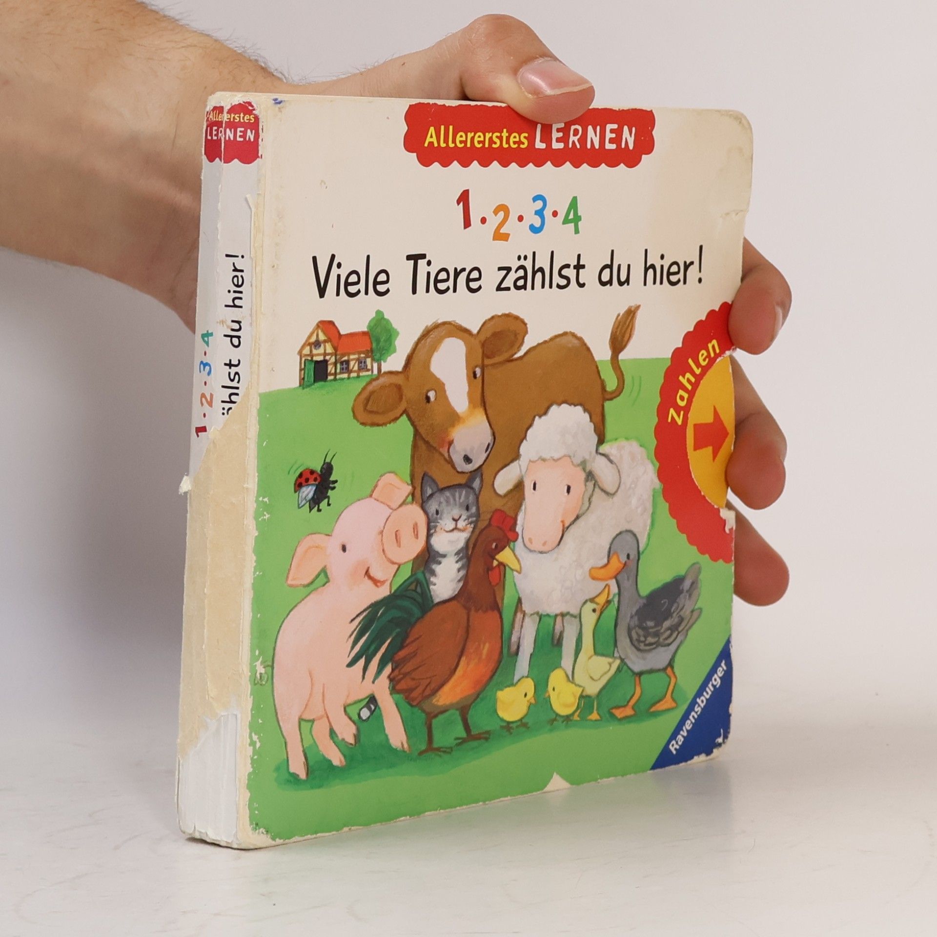 Regina Schwarz 1, 2, 3, 4 - Viele Tiere zählst du hier!