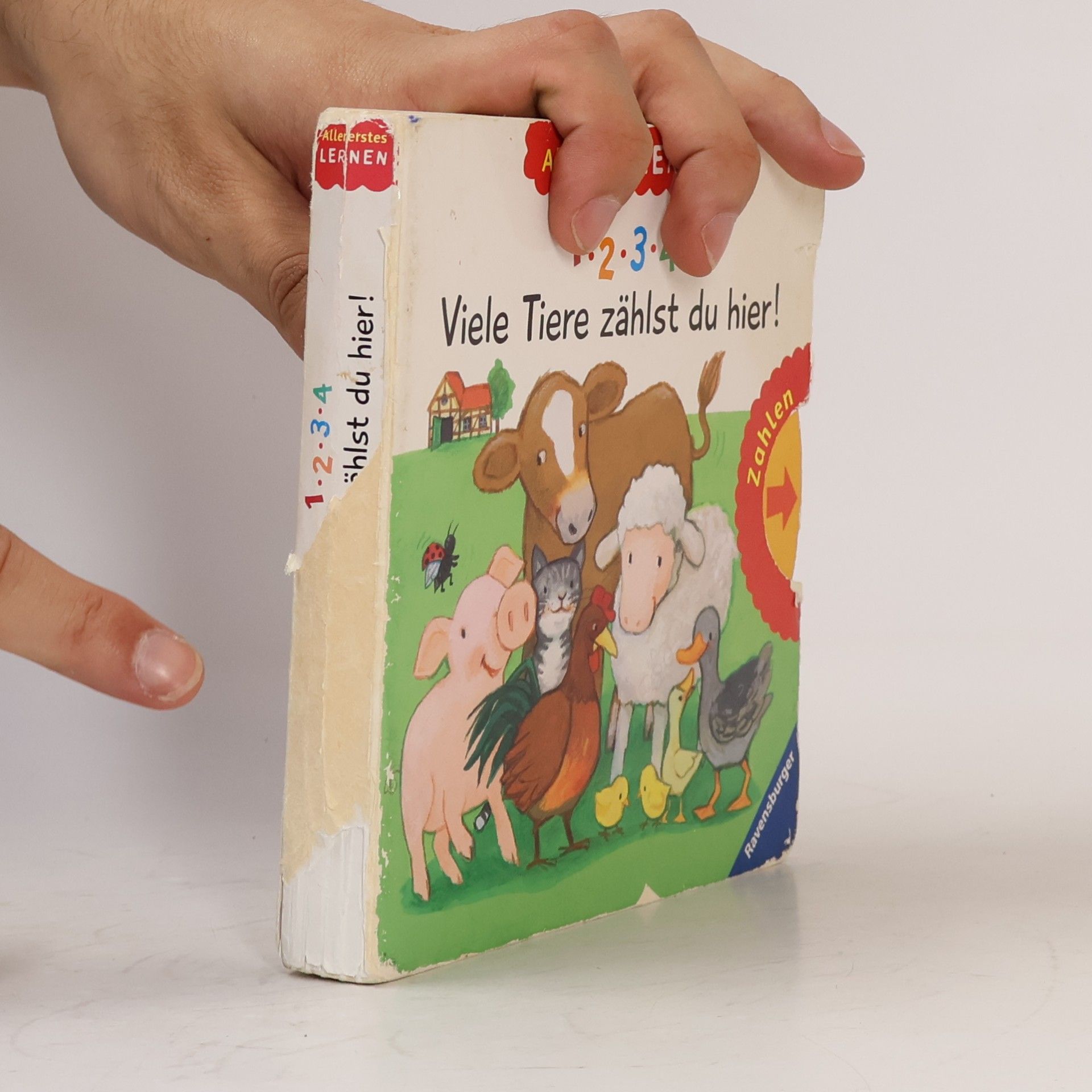 Martina Kohl 1, 2, 3, 4 - Viele Tiere zählst du hier!