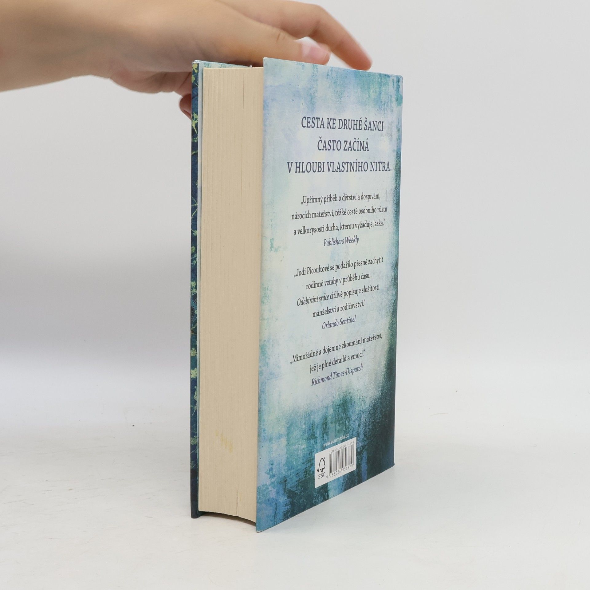 Jodi Picoult Odebírání srdce