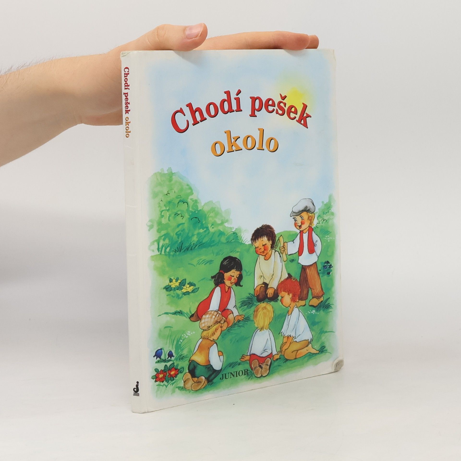 Vladimíra Vopičková Chodí pešek okolo (leporelo)