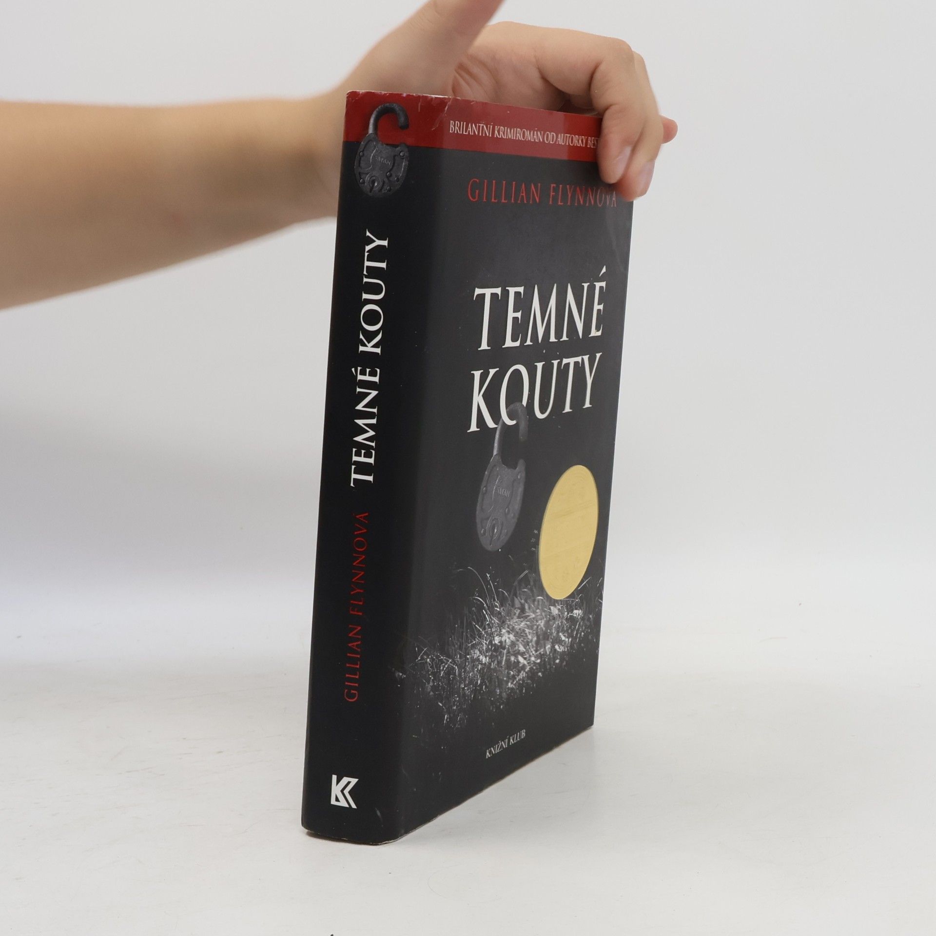 Gillian Flynn Temné kouty