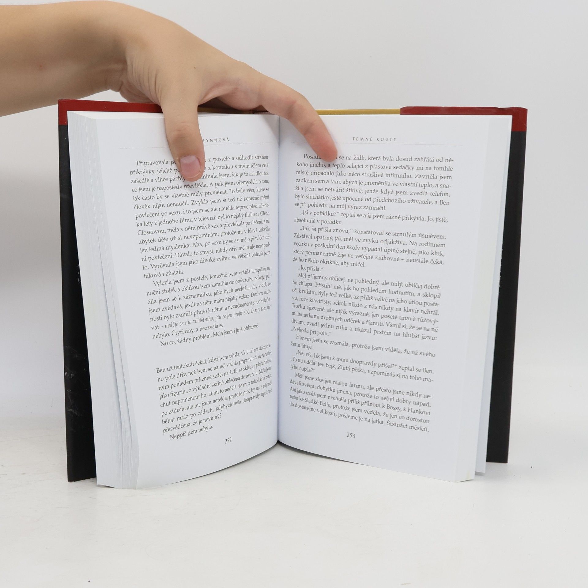 Gillian Flynn Temné kouty