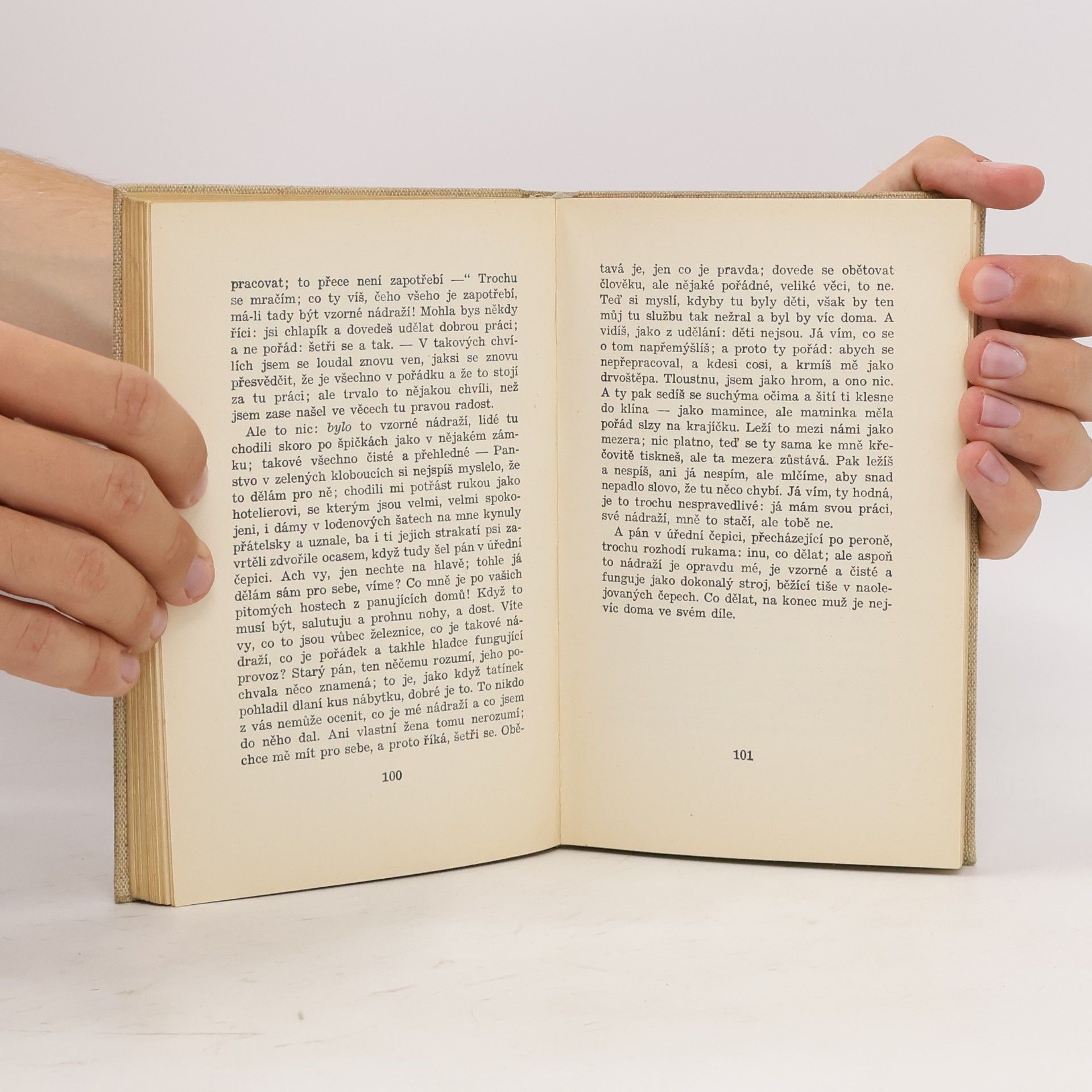 Karel Čapek Obyčejný život