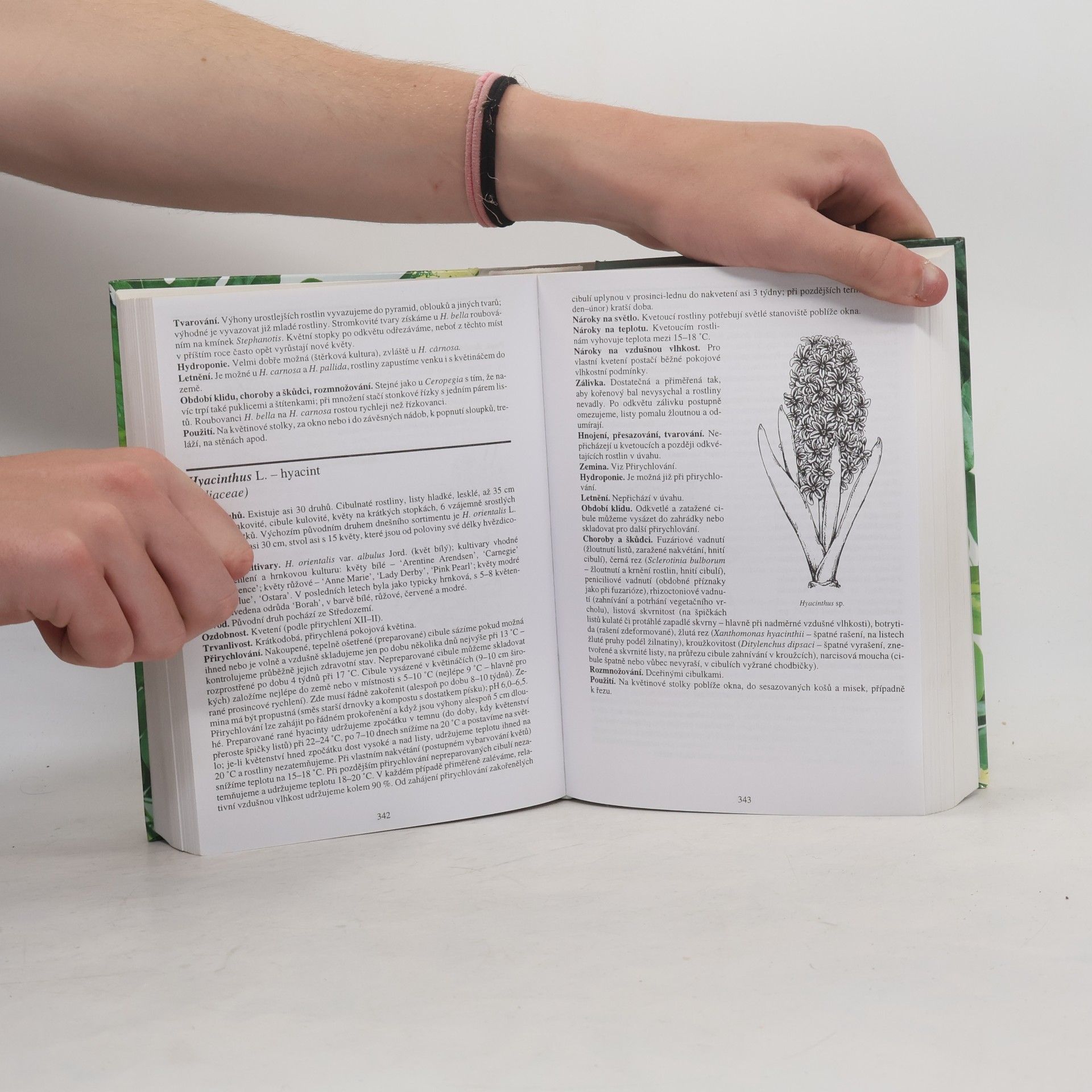 Karel Hieke Atlas pokojových rostlin
