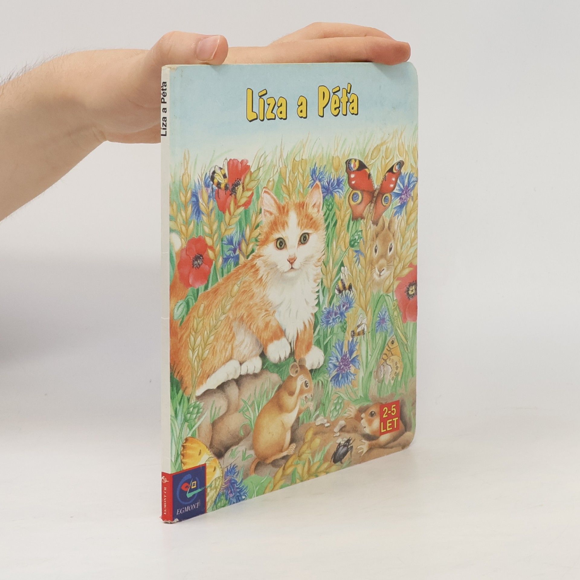 Autorenkollektiv Líza a Péťa