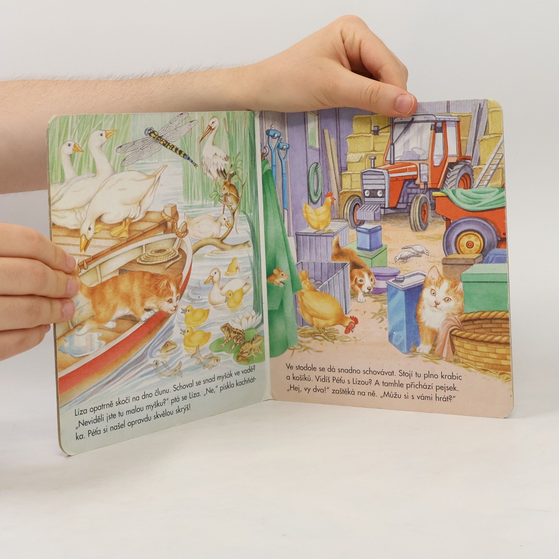 Autores varios Líza a Péťa
