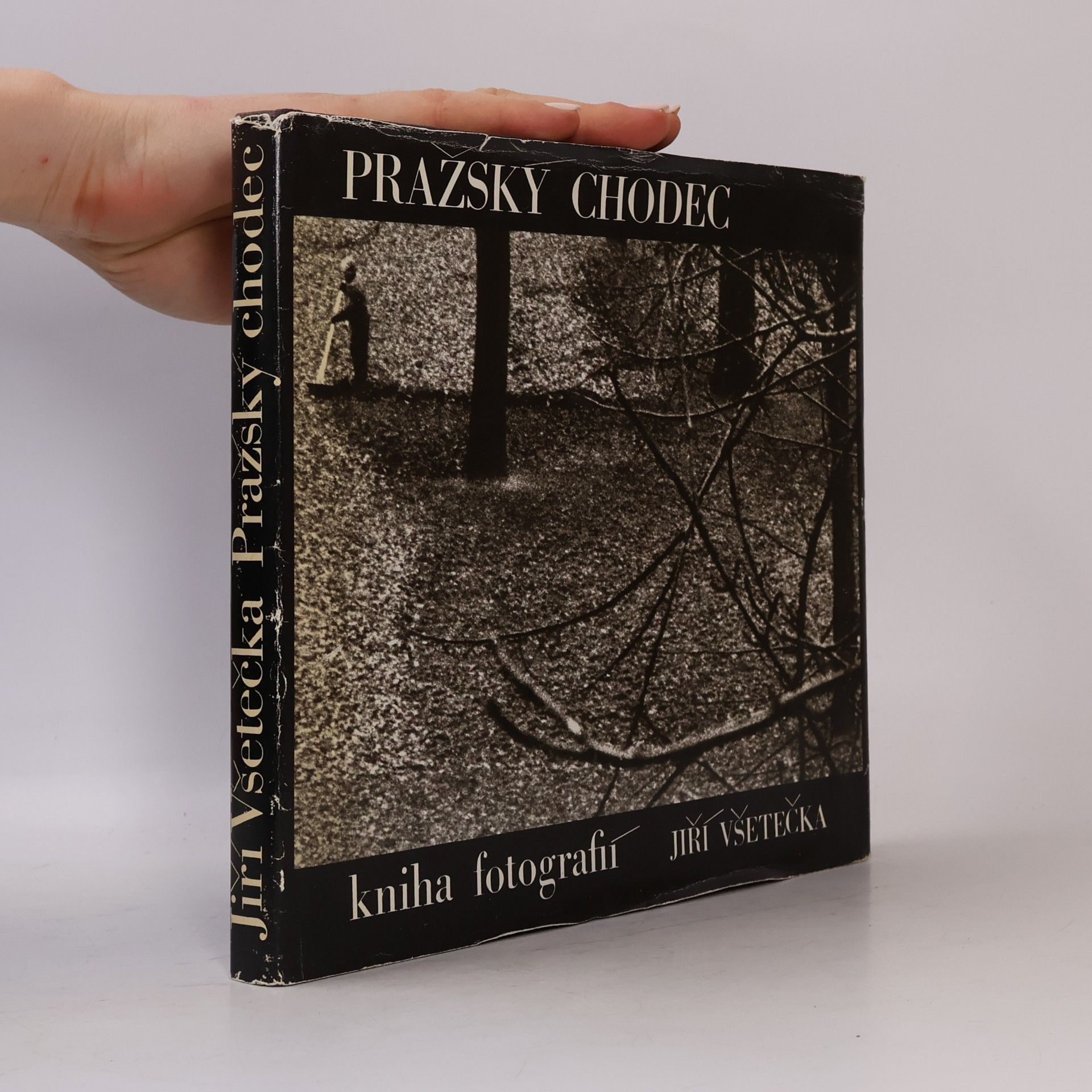 Jiří Všetečka Pražský chodec