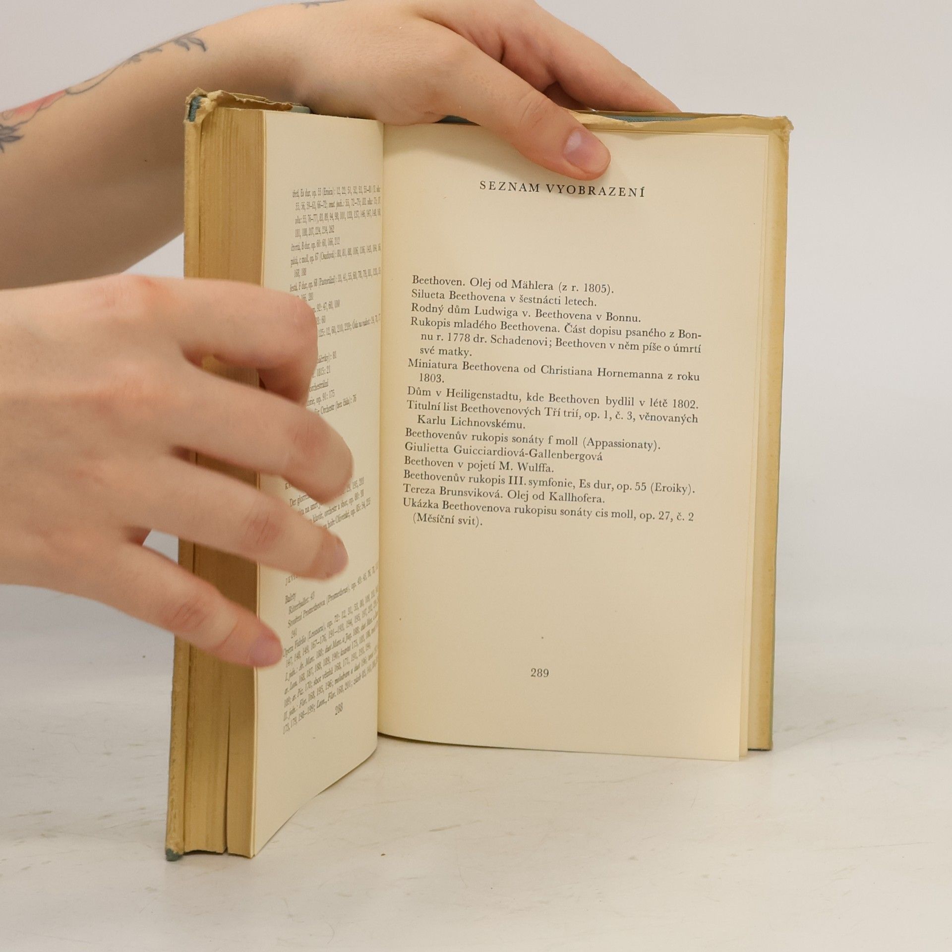 Romain Rolland Beethoven. Velká tvůrčí období od Eroiky k Appasionatě