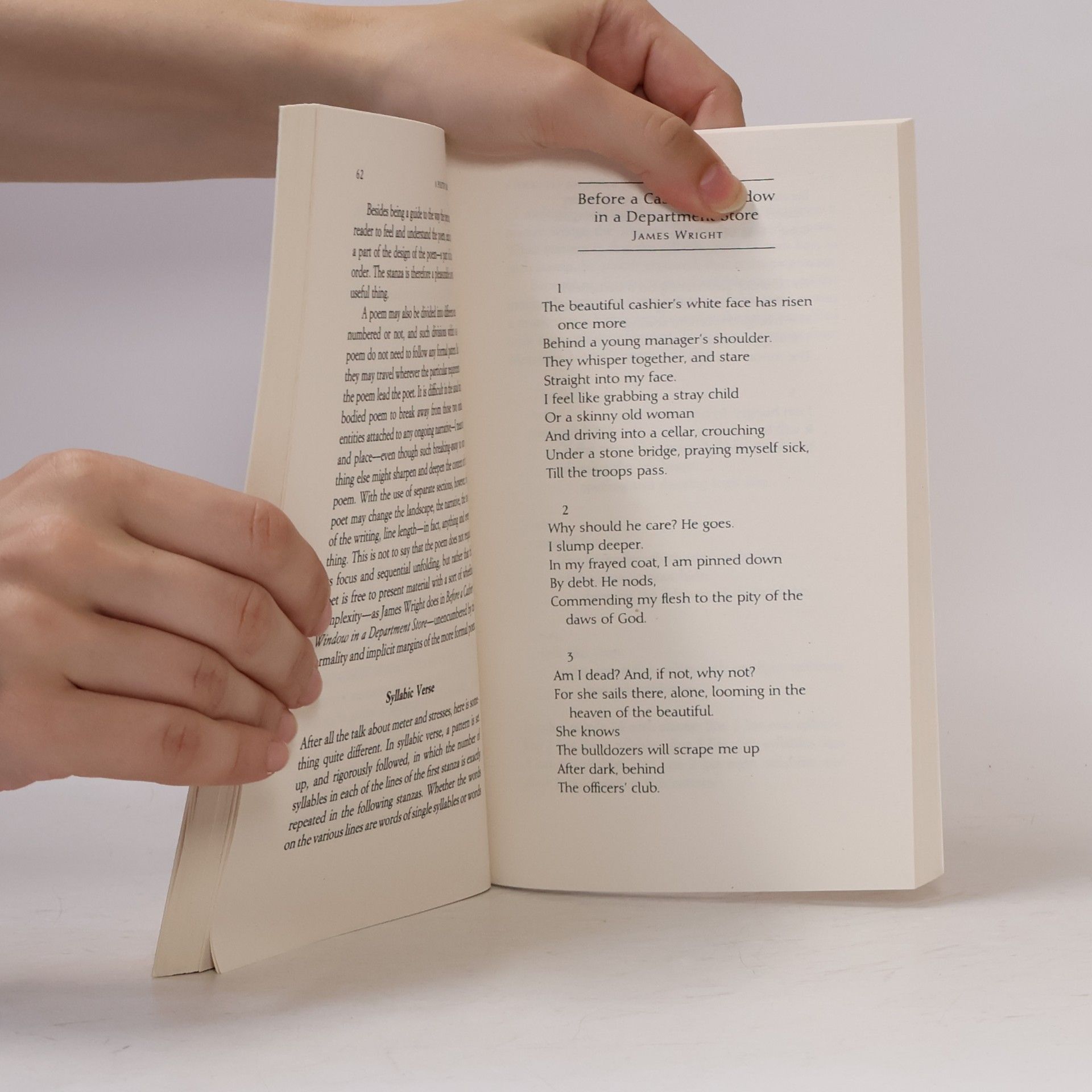 Mary Oliver A Poetry Handbook