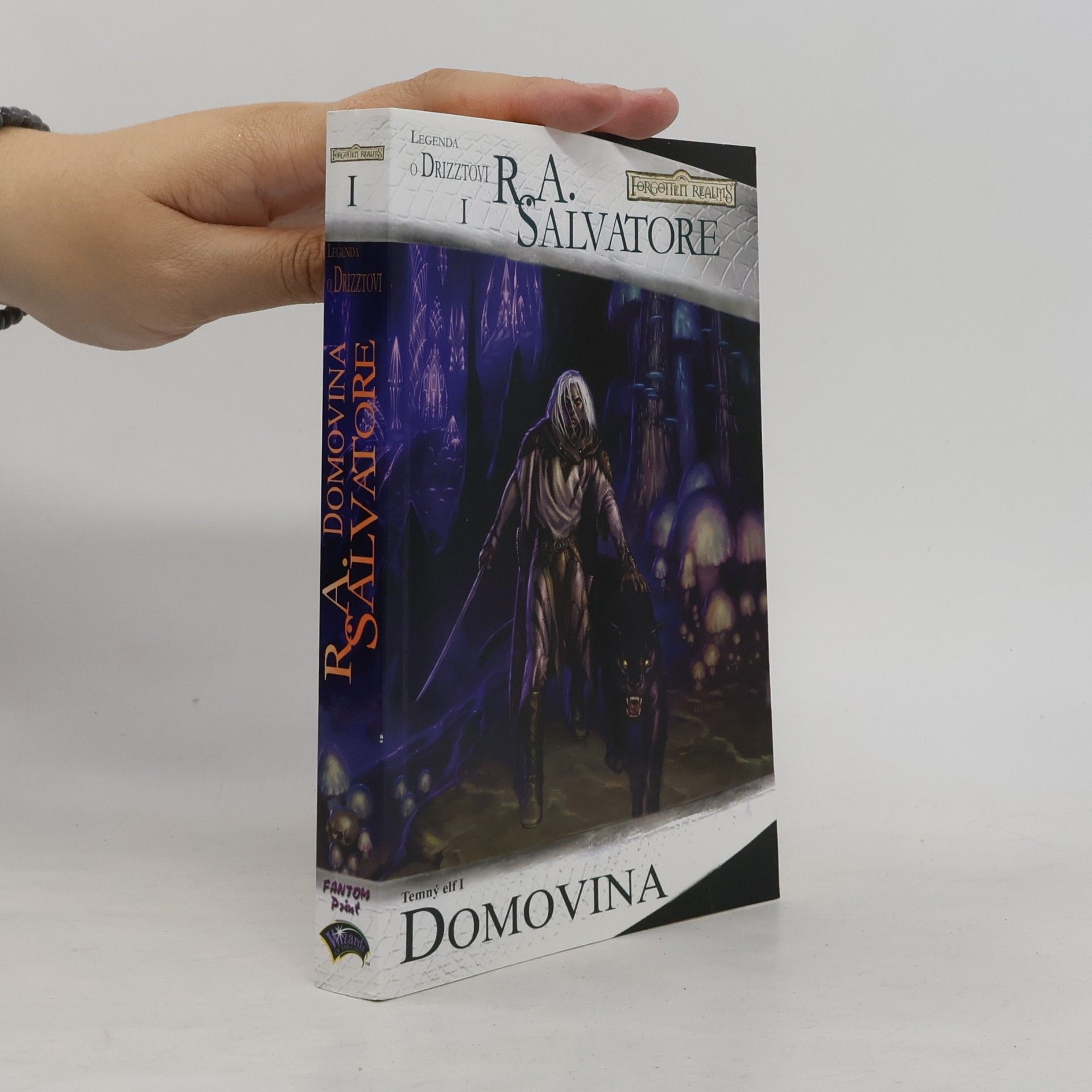R. A. Salvatore Temný elf I. Domovina
