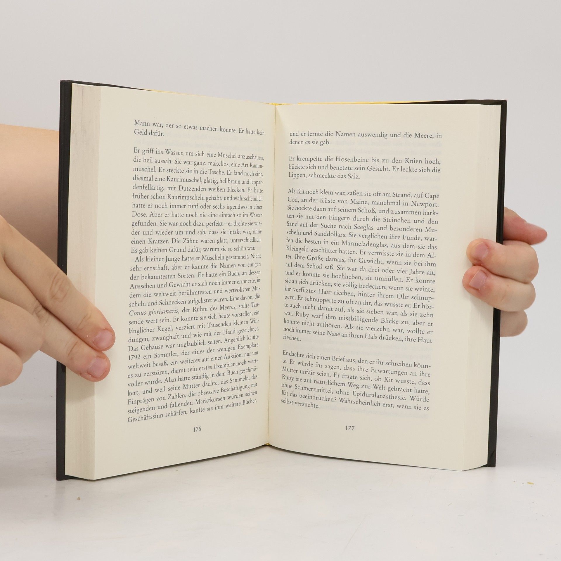 Dave Eggers Ein Hologramm für den König