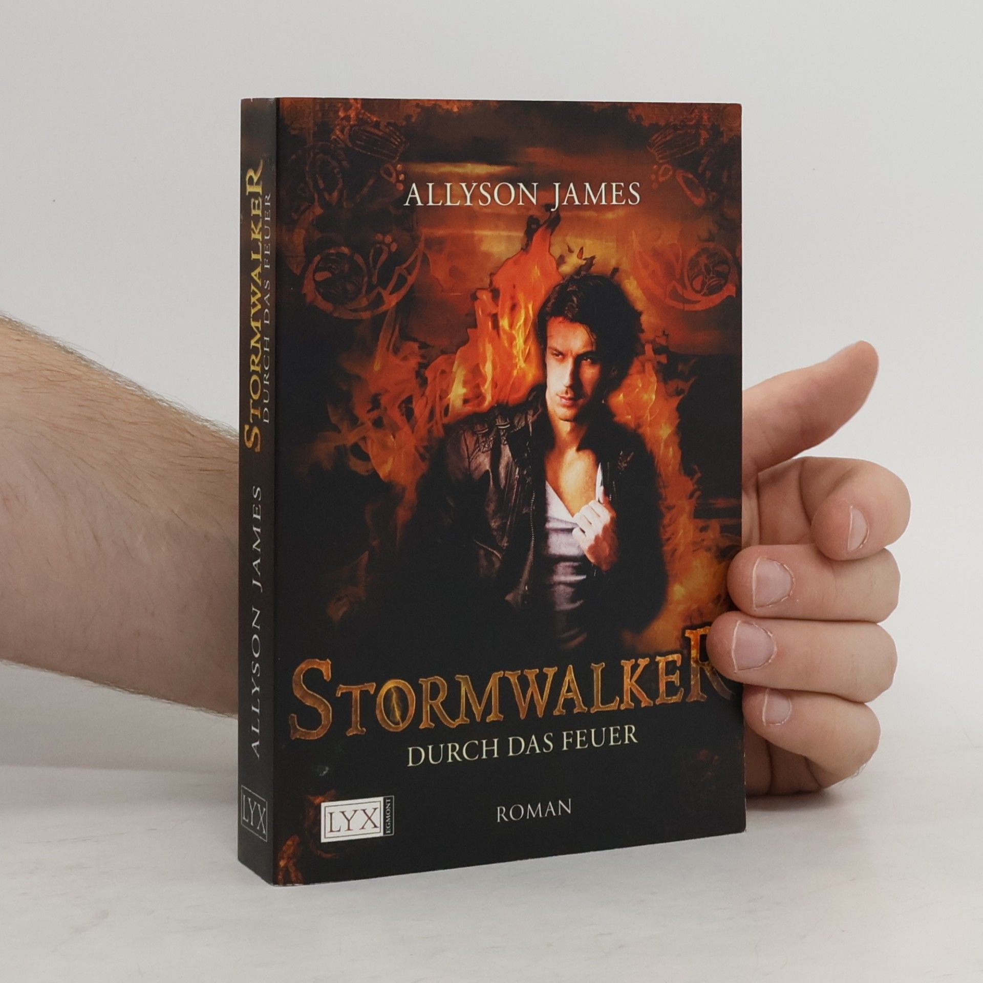 Allyson James Stormwalker. Durch das Feuer