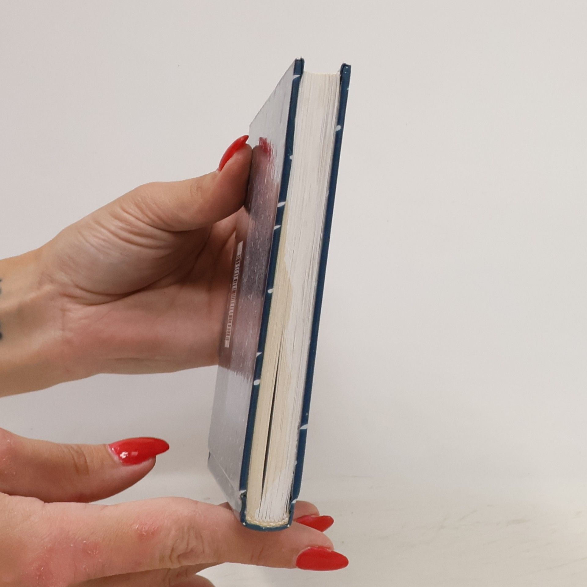 Jill Murphy Čarodějnice školou povinné. Ukradené kouzlo