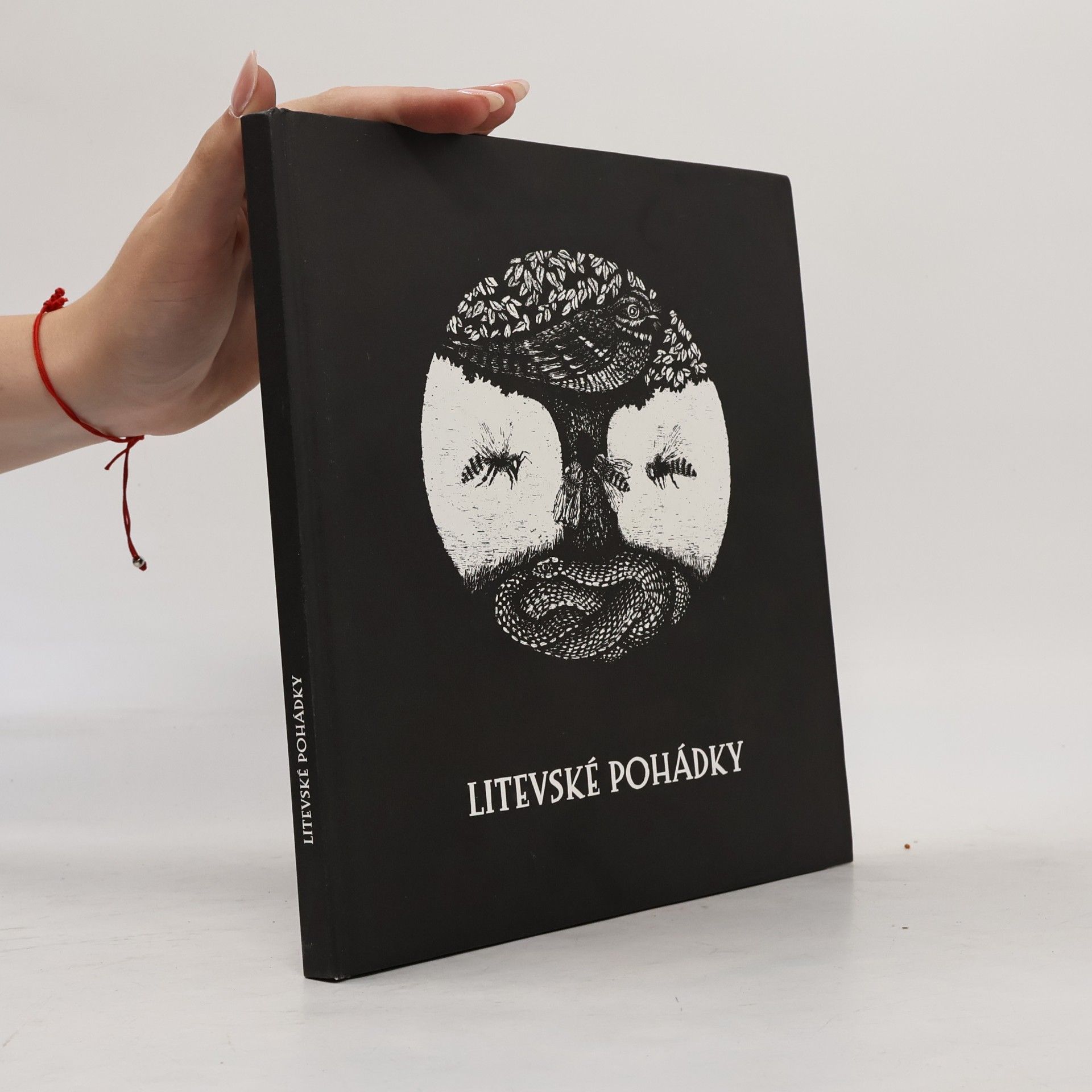 Kolektiv autorů Litevské pohádky