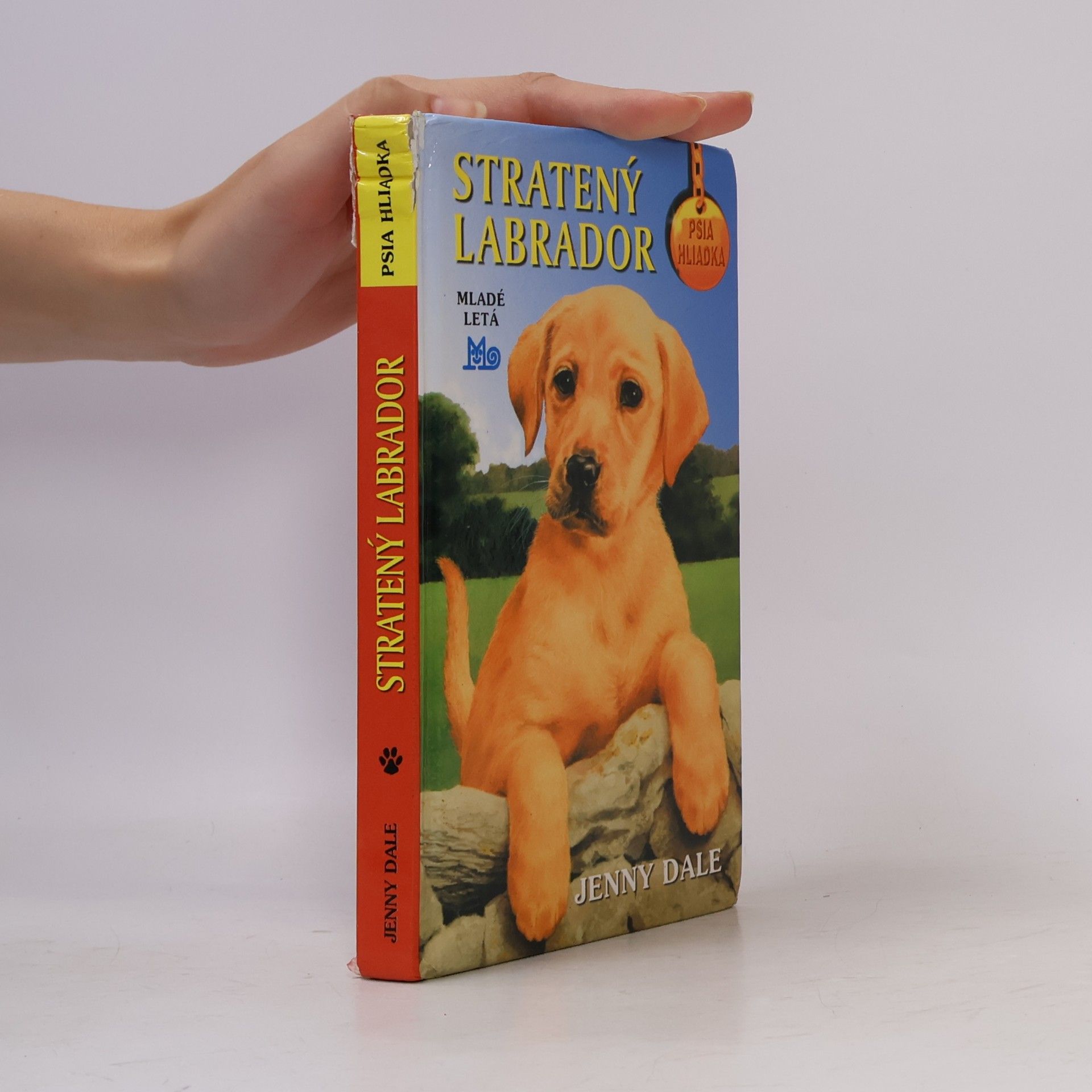 Linda Chapman Stratený labrador