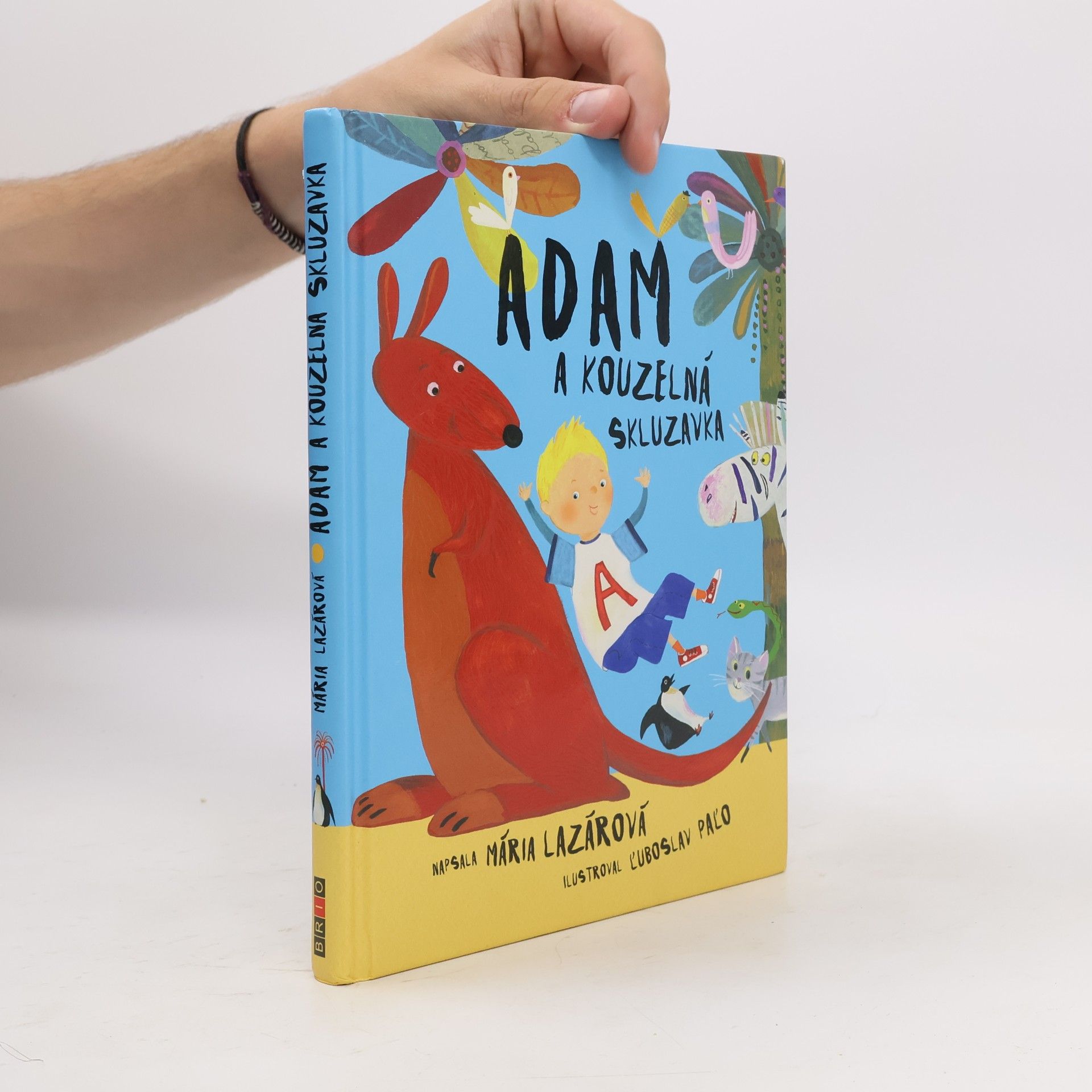 Maria Lazar Adam a kouzelná skluzavka