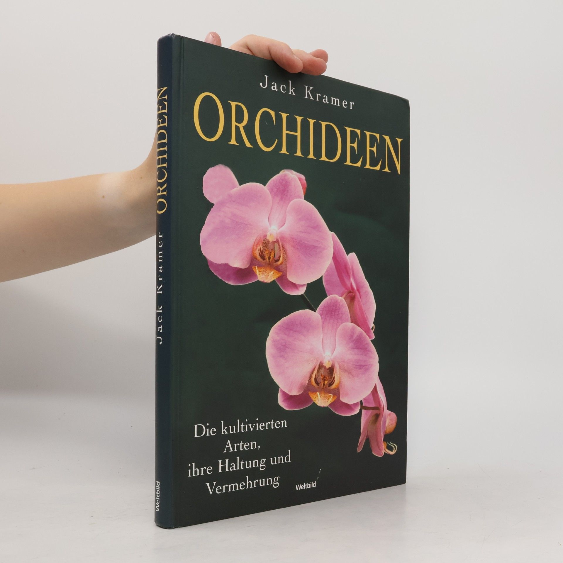 Jack Kramer Orchideen