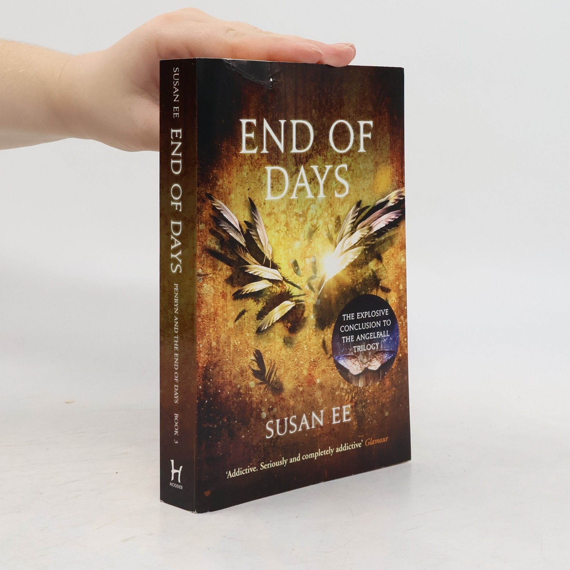 Susan Ee End of Days