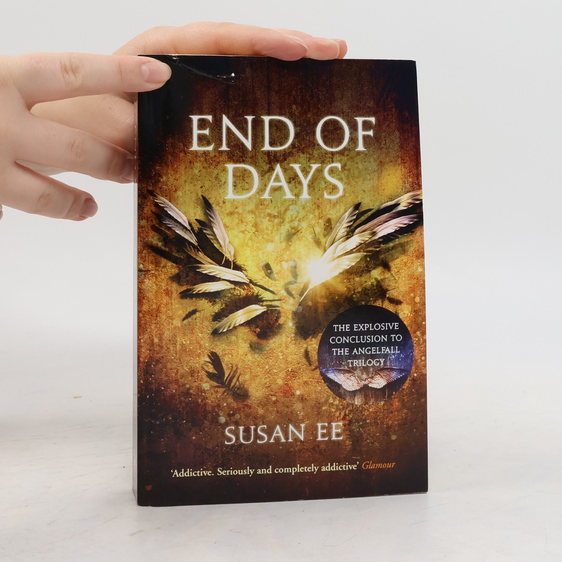 Susan Ee End of Days