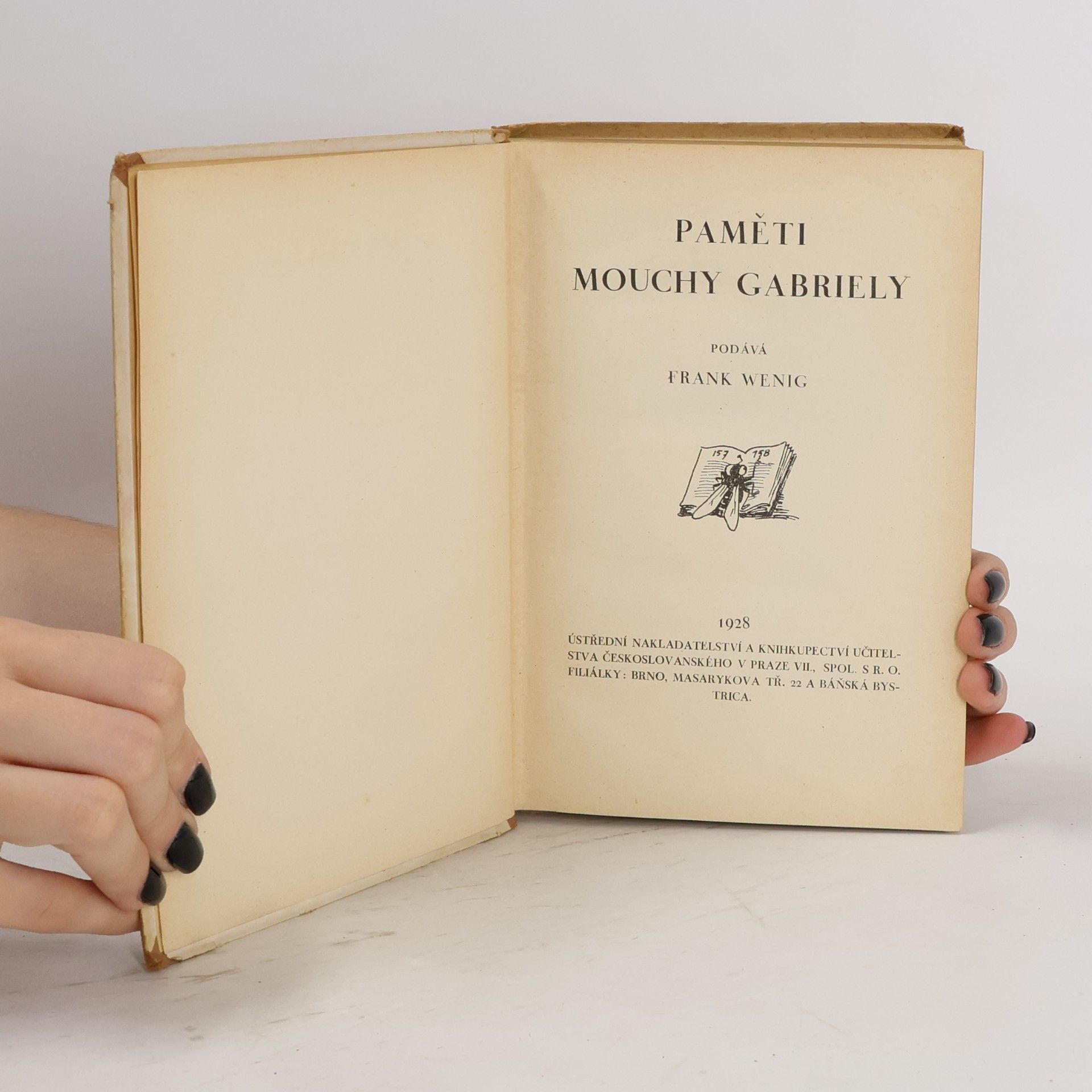 Frank Wenig Paměti mouchy Gabriely