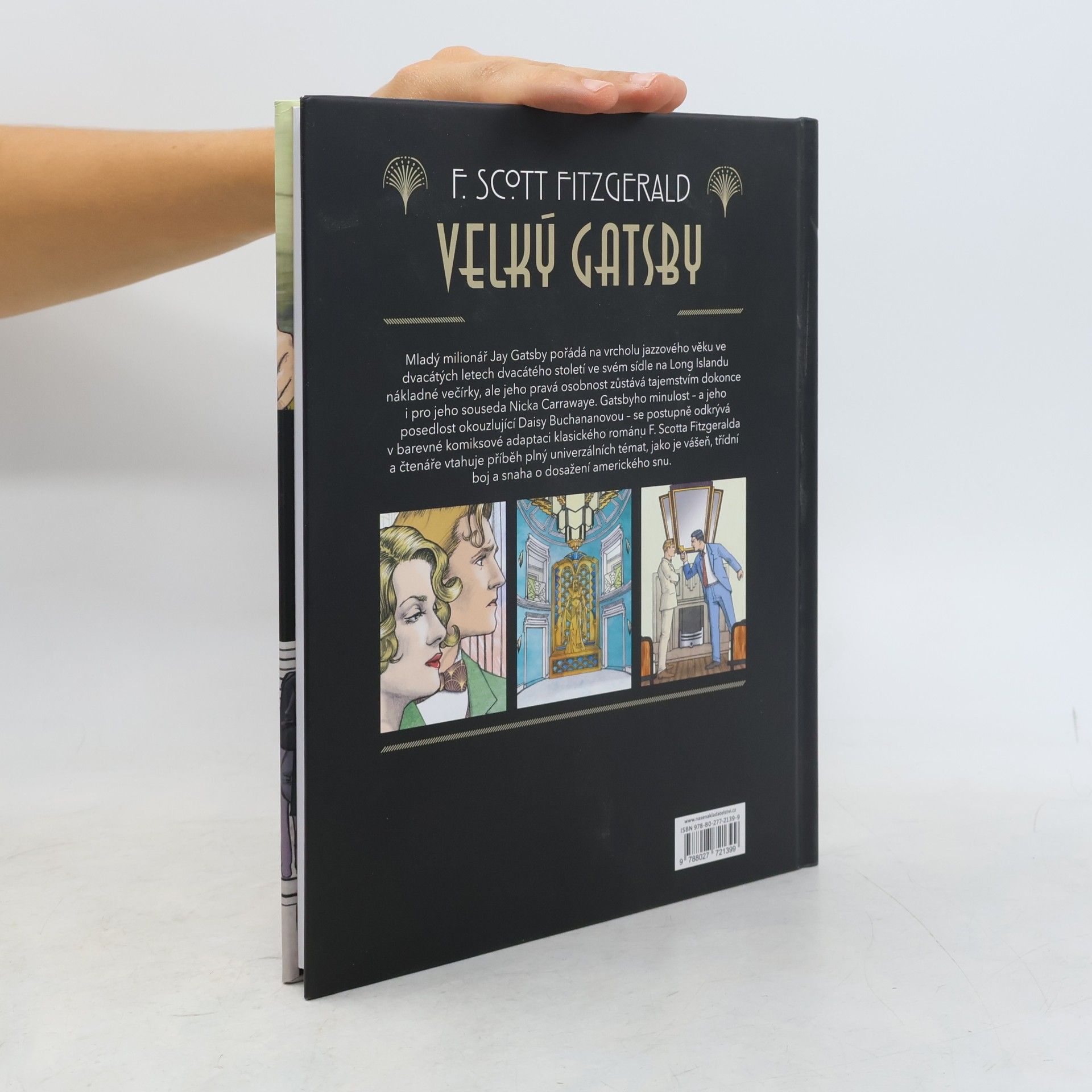 Francis Scott Fitzgerald Velký Gatsby : grafický román