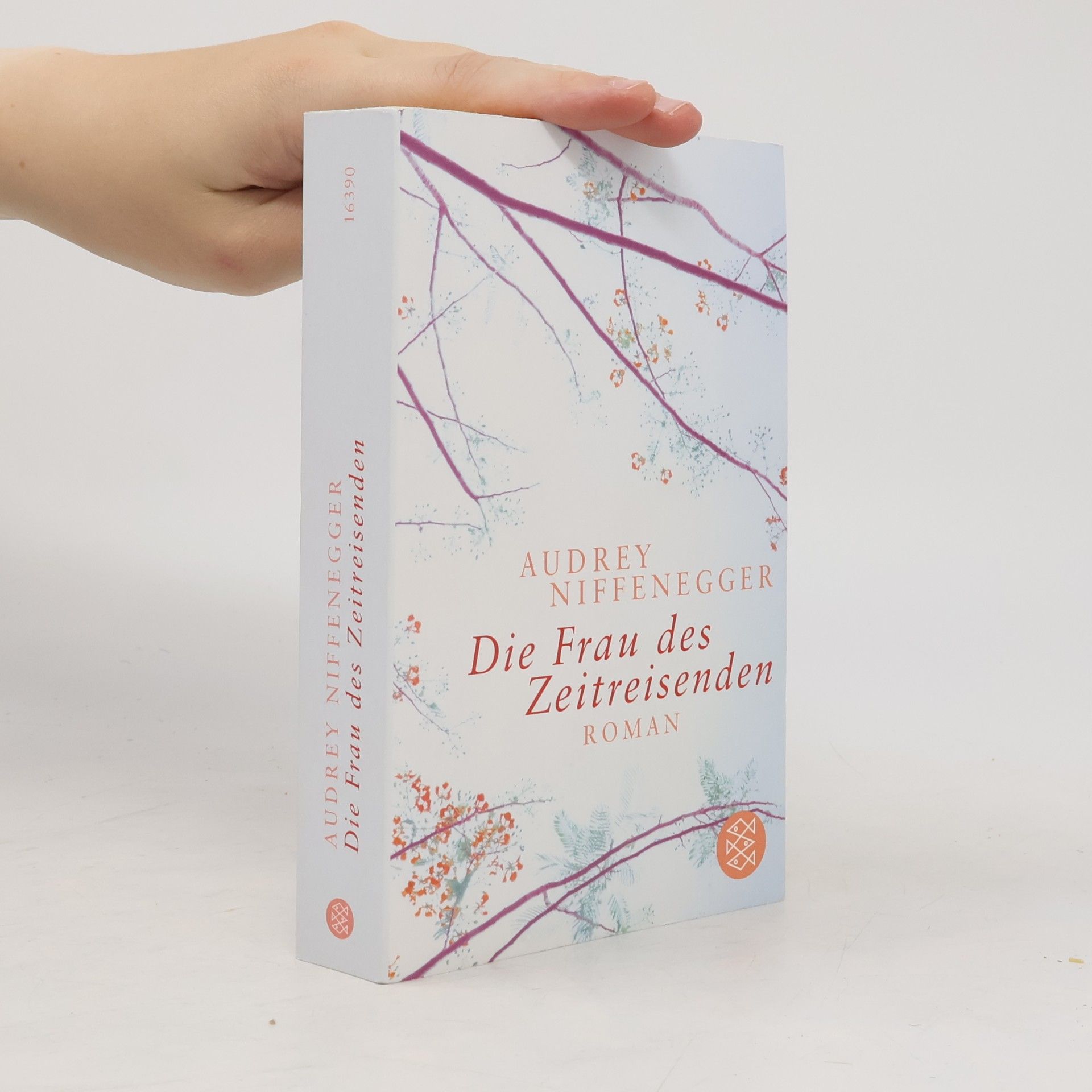 Audrey Niffenegger Die Frau des Zeitreisenden
