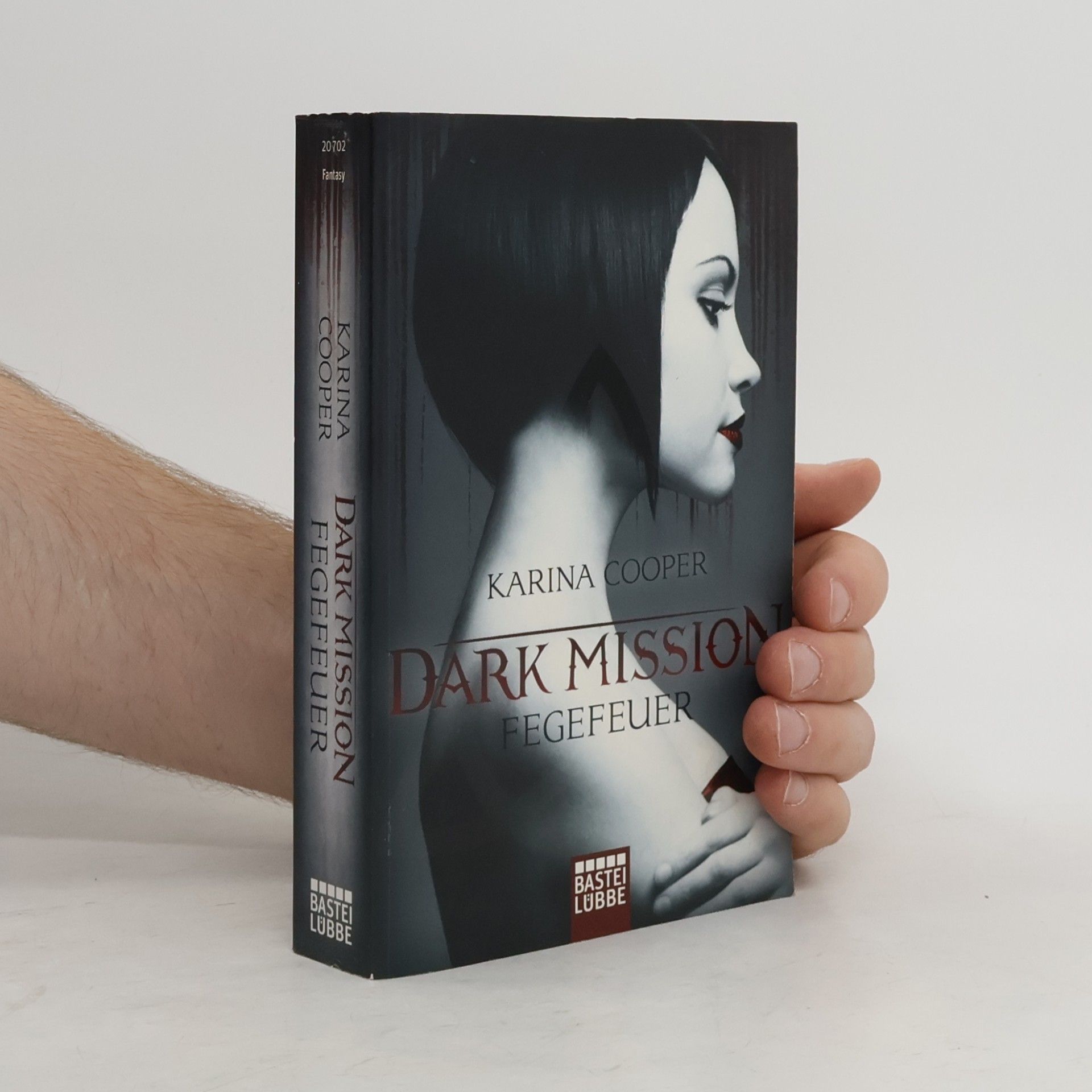 Autorenkollektiv Dark Mission - Fegefeuer