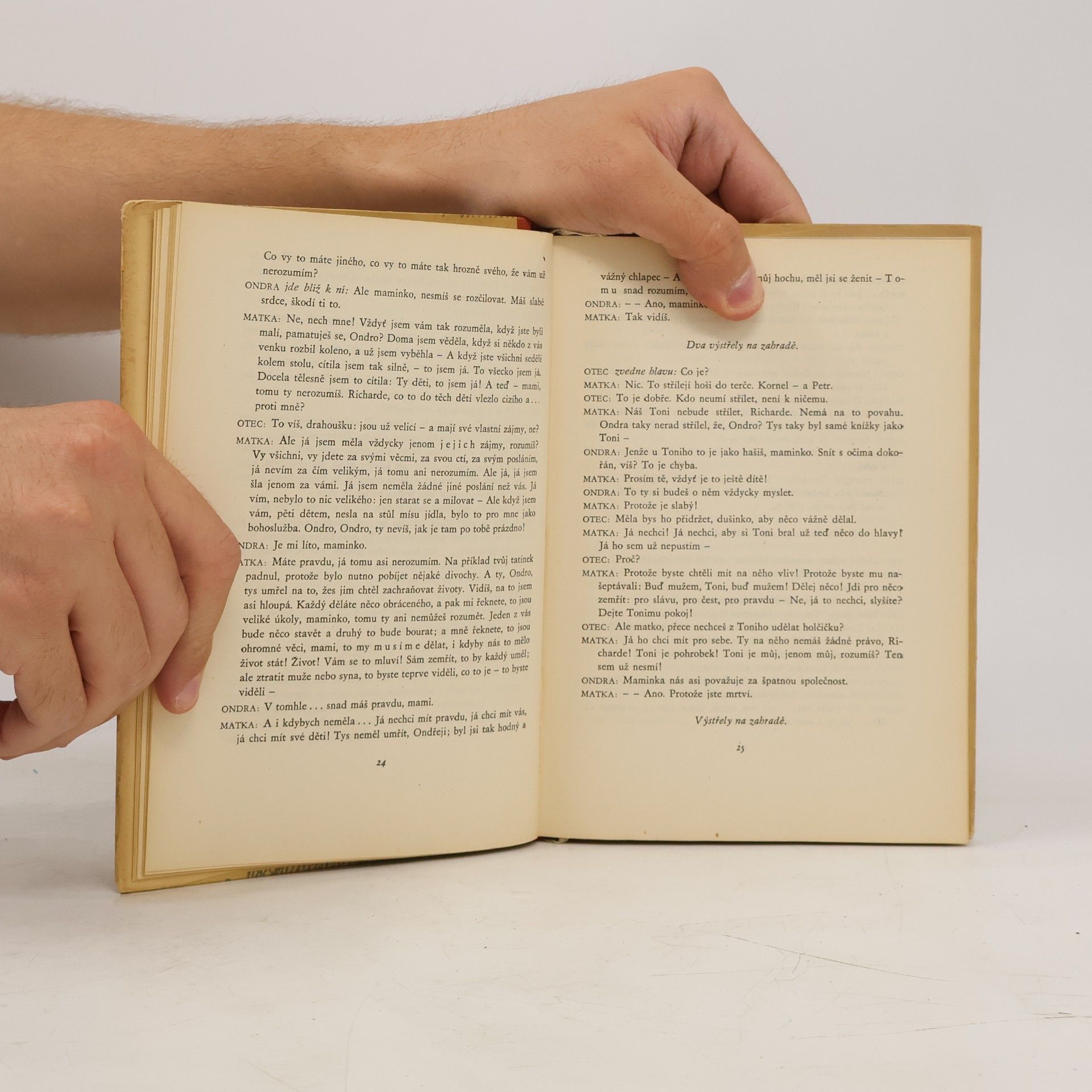 Karel Čapek Matka