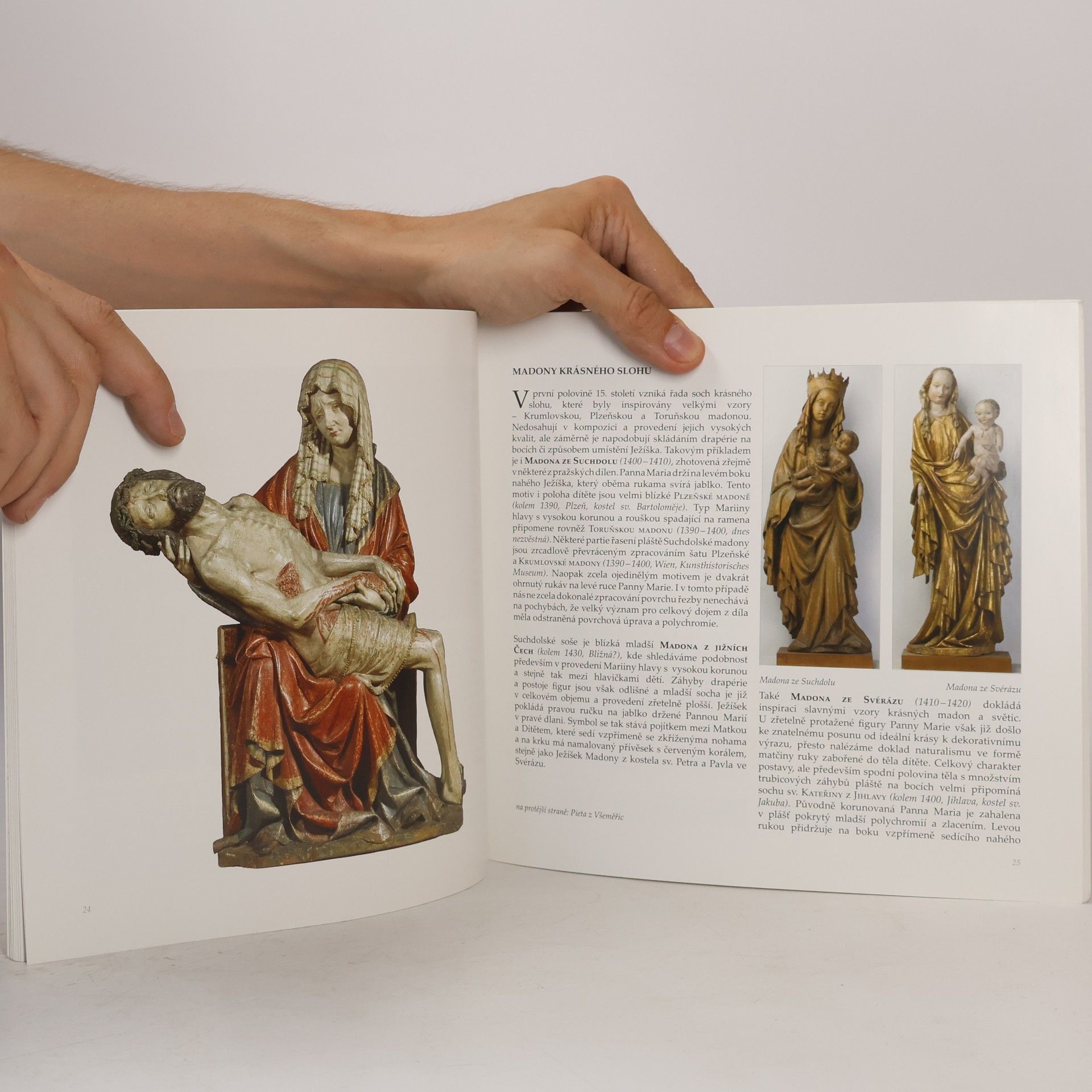 Roman Lavička Gotické umění : Průvodce sbírkou středověkého umění Alšovy jihočeské galerie