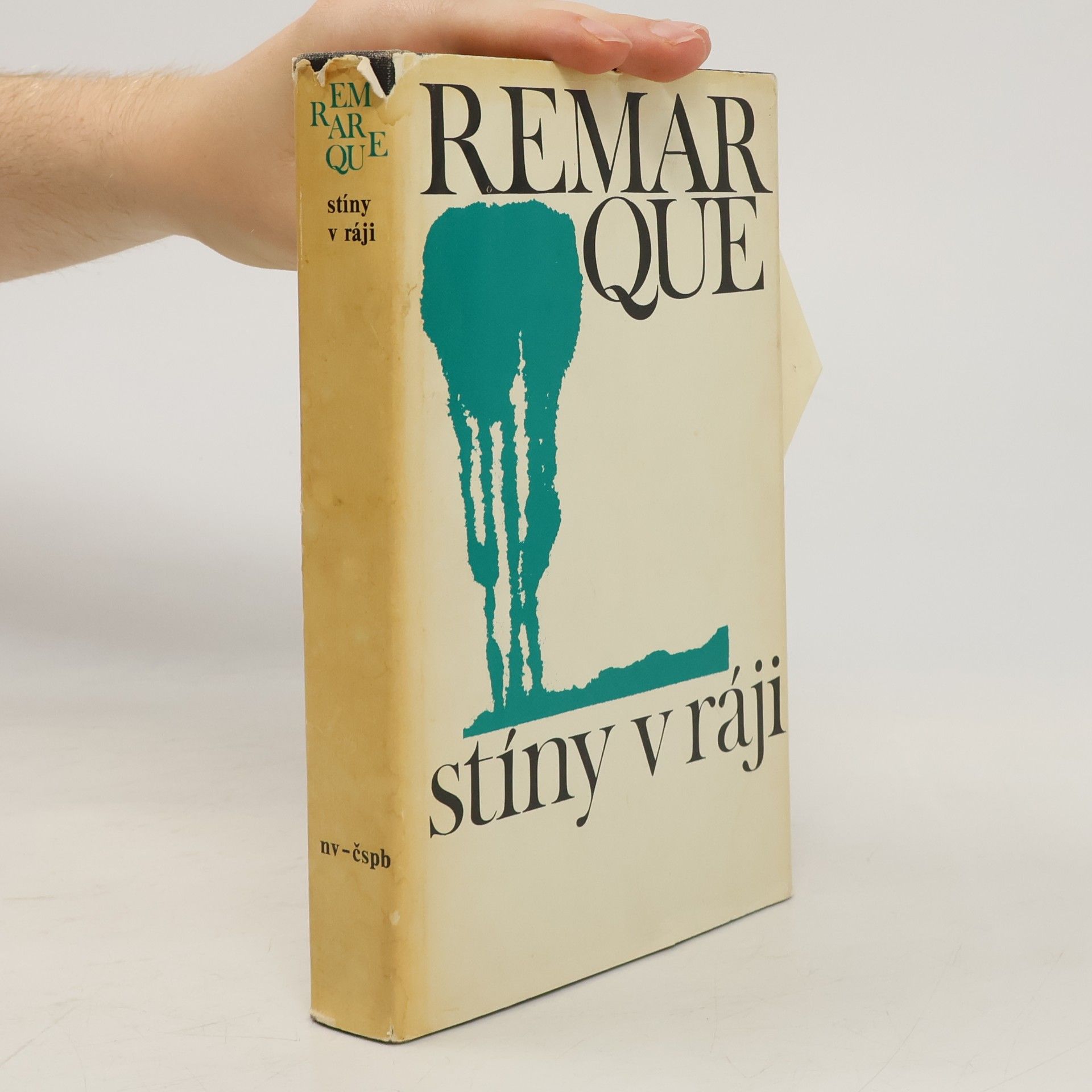 Erich Maria Remarque Stíny v ráji