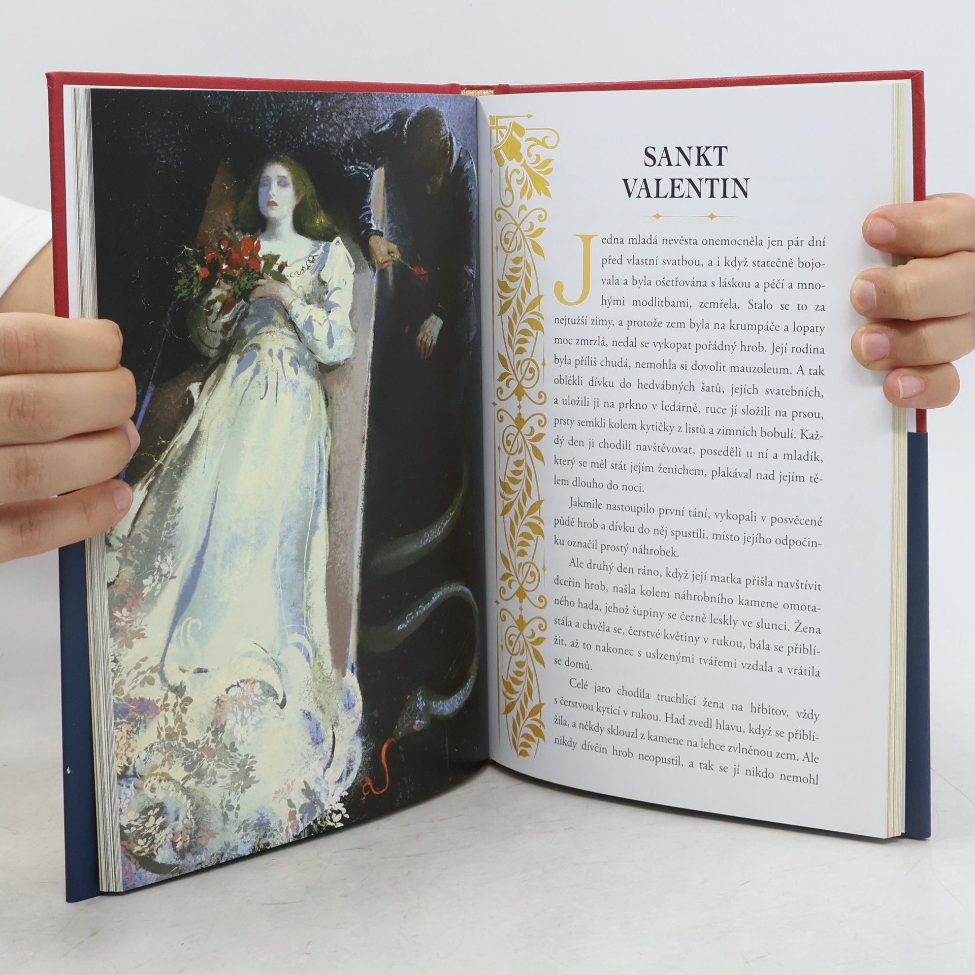 Leigh Bardugo Život svatých