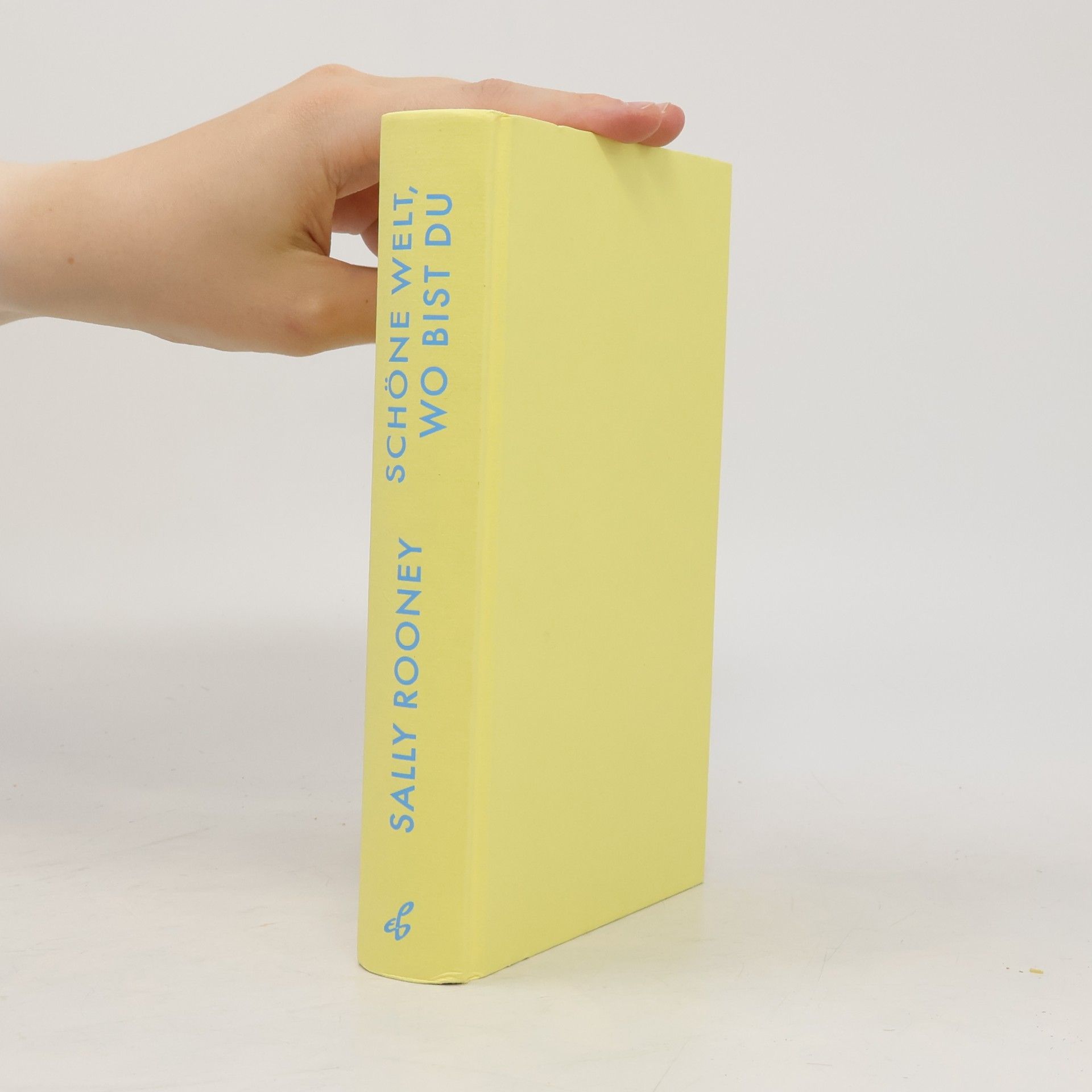 Sally Rooney Schöne Welt, wo bist du