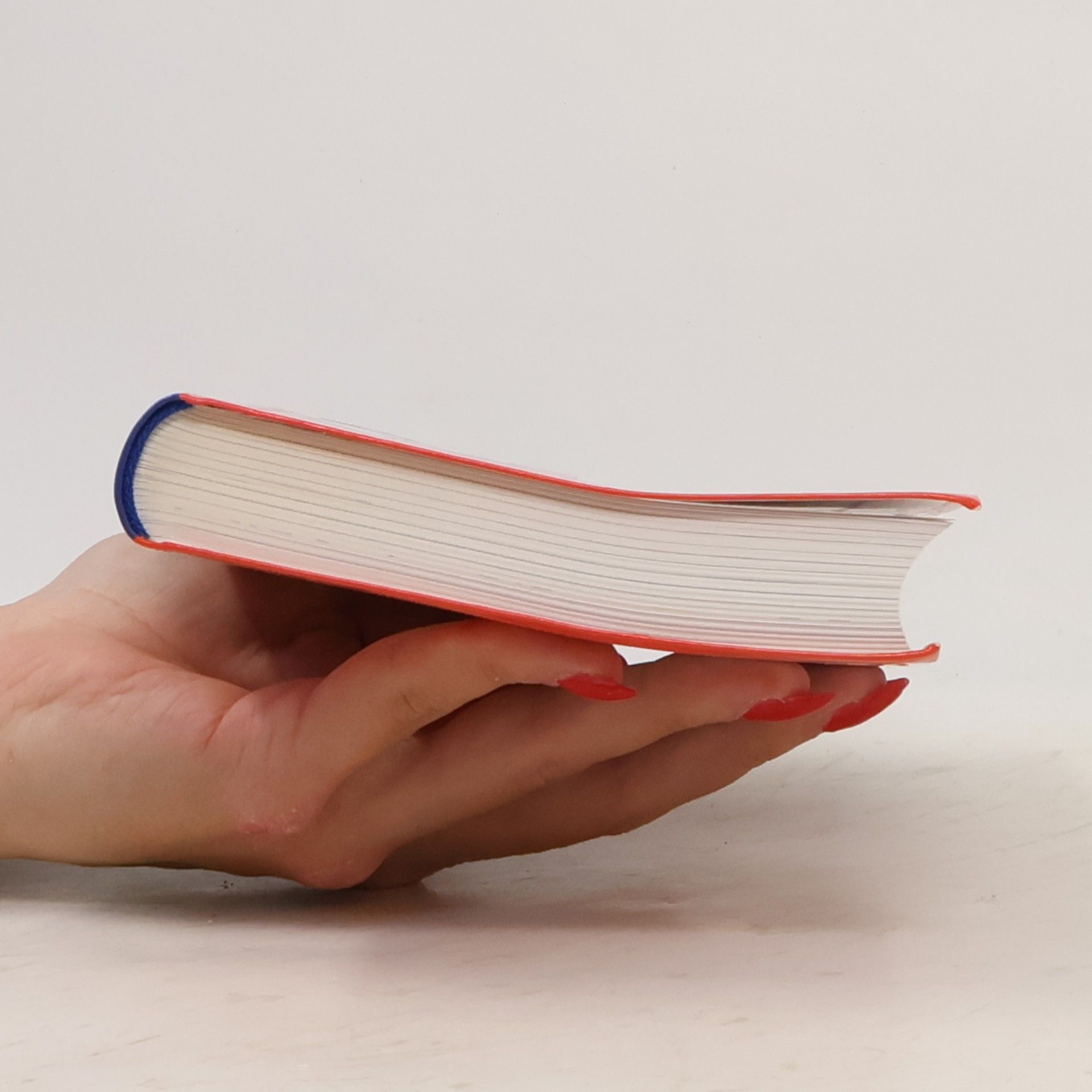 Autorenkollektiv Obrázkový slovník anglicko-český