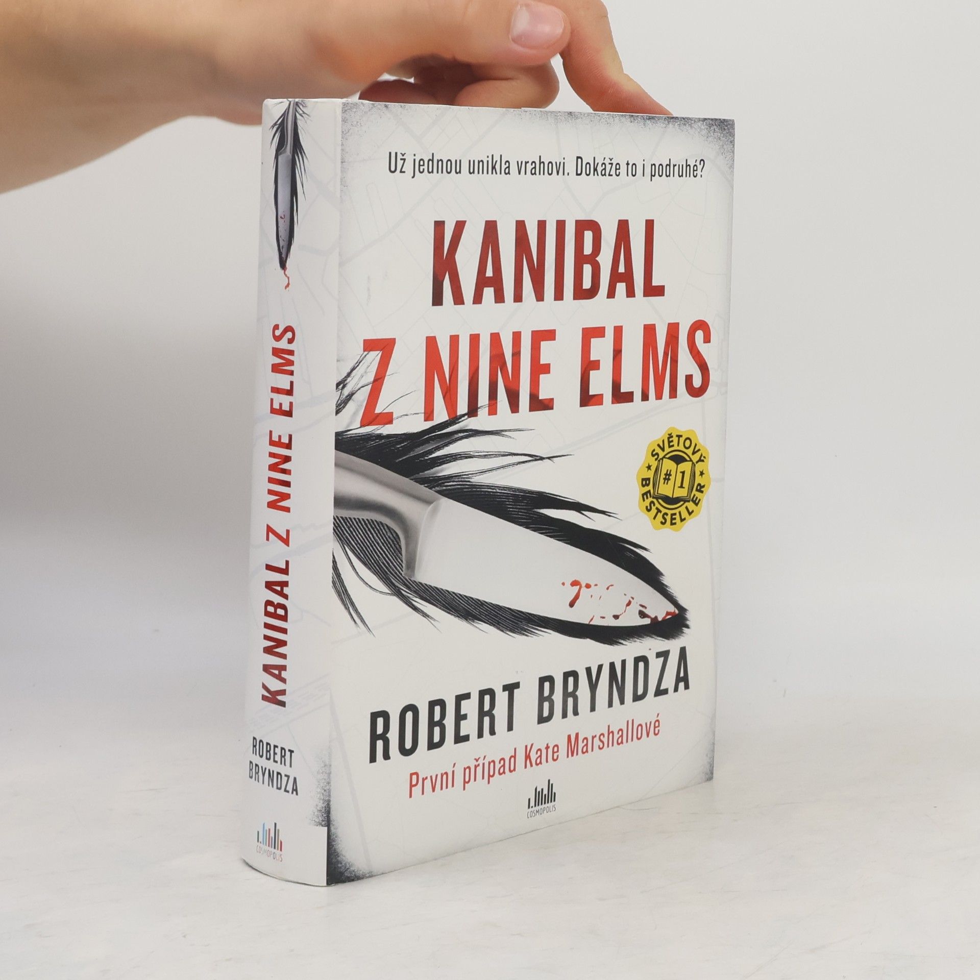 Robert Bryndza Kanibal z Nine Elms
