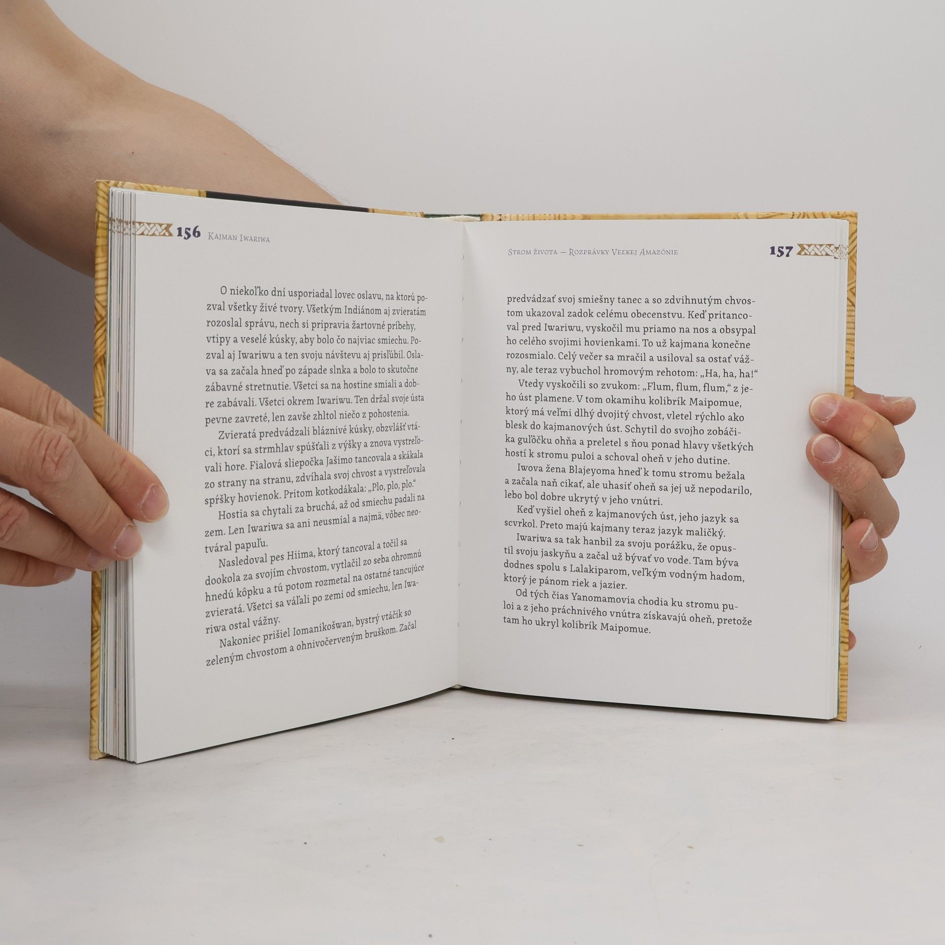 Autorenkollektiv Strom Života - Rozprávky veľkej Amazónie