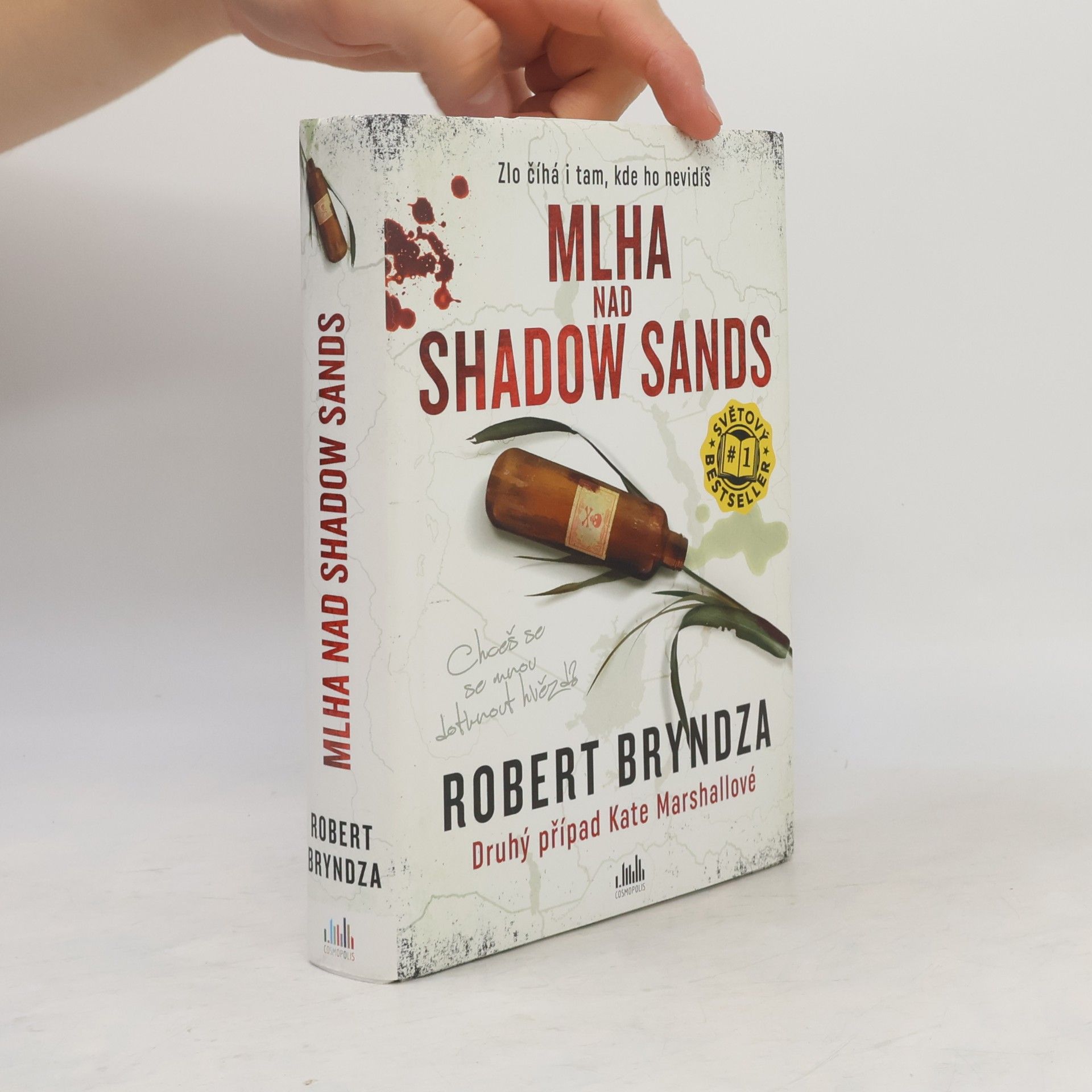 Robert Bryndza Mlha nad Shadow Sands