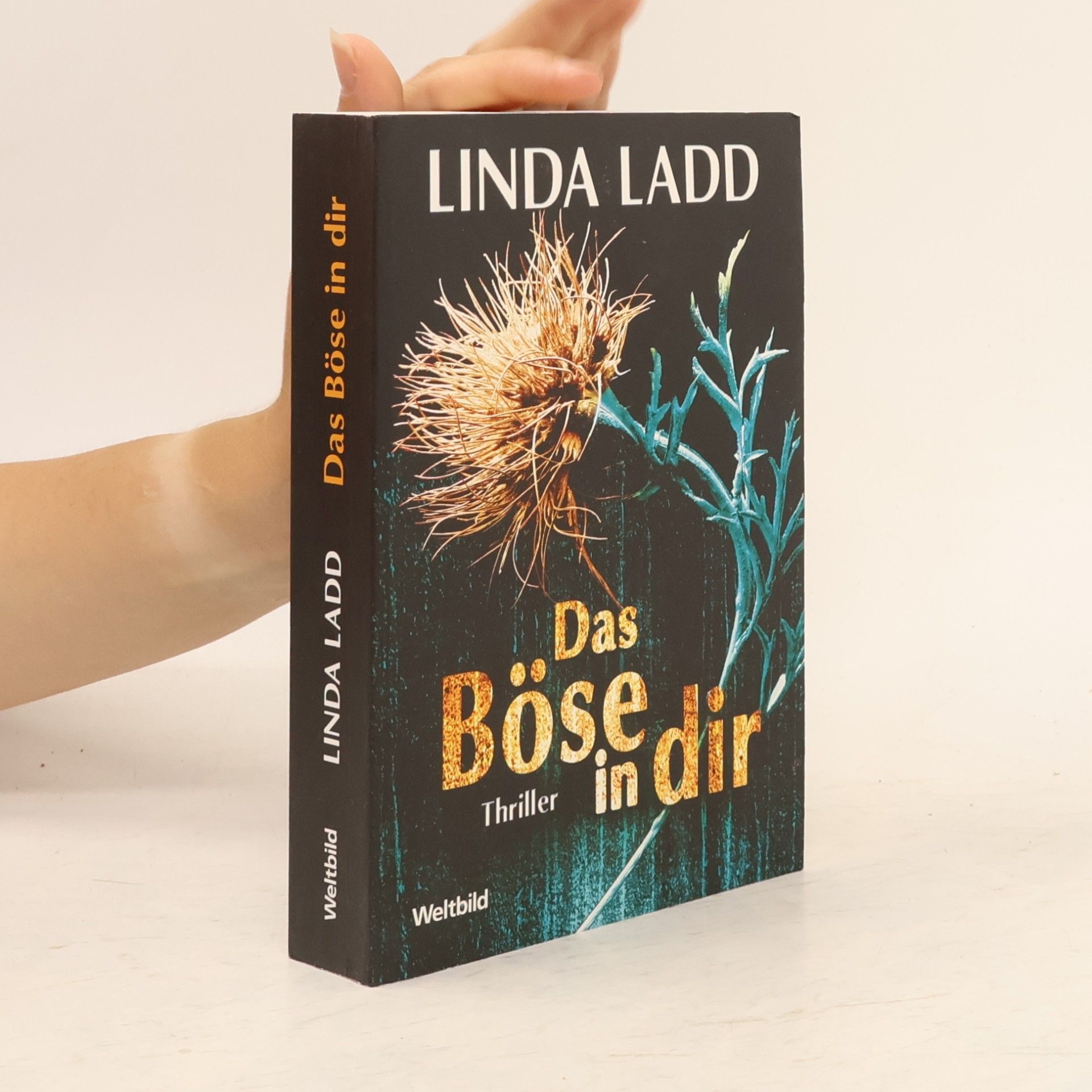 Linda Ladd Das Böse in dir